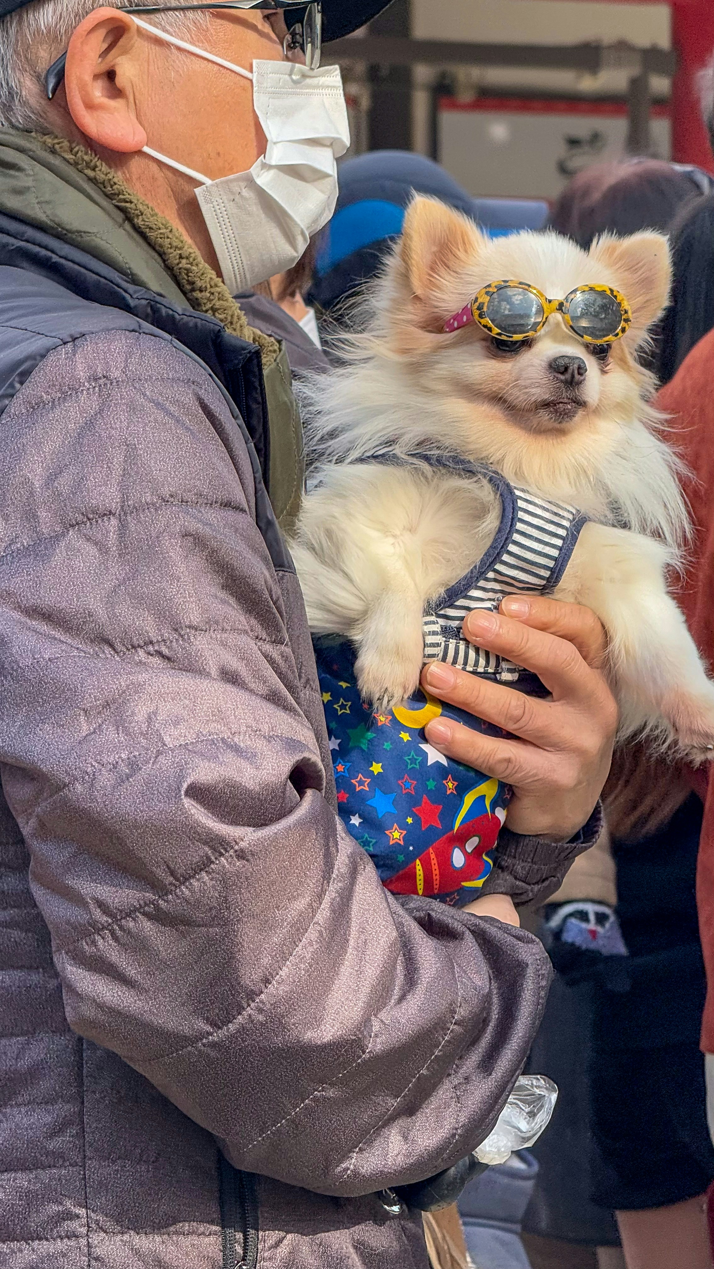 A man wearing a face mask holding a small dog