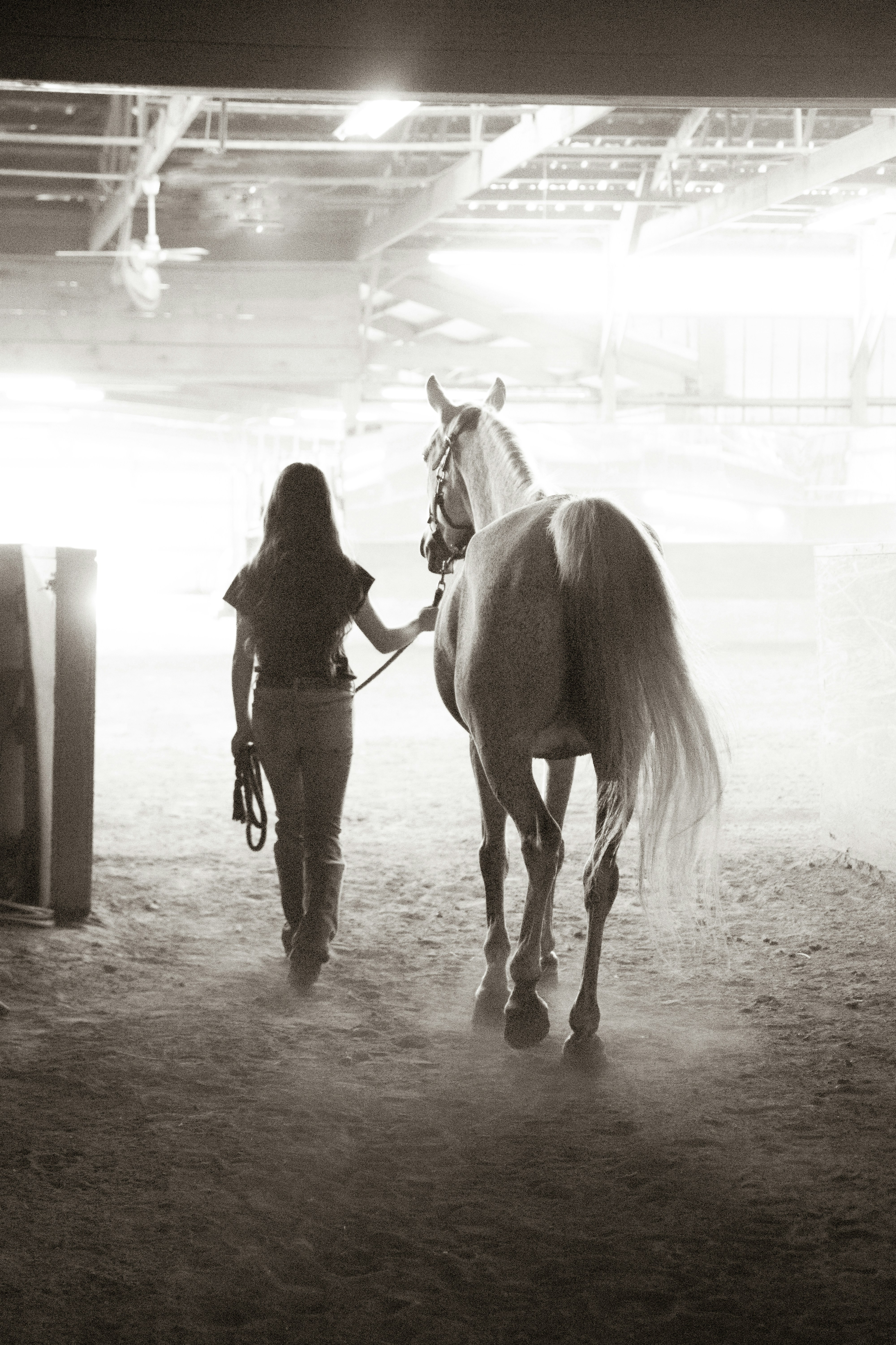 The Unspoken Bond (image credits: unsplash)