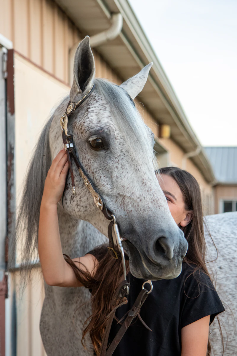 A teenager embracing a horse at a stable