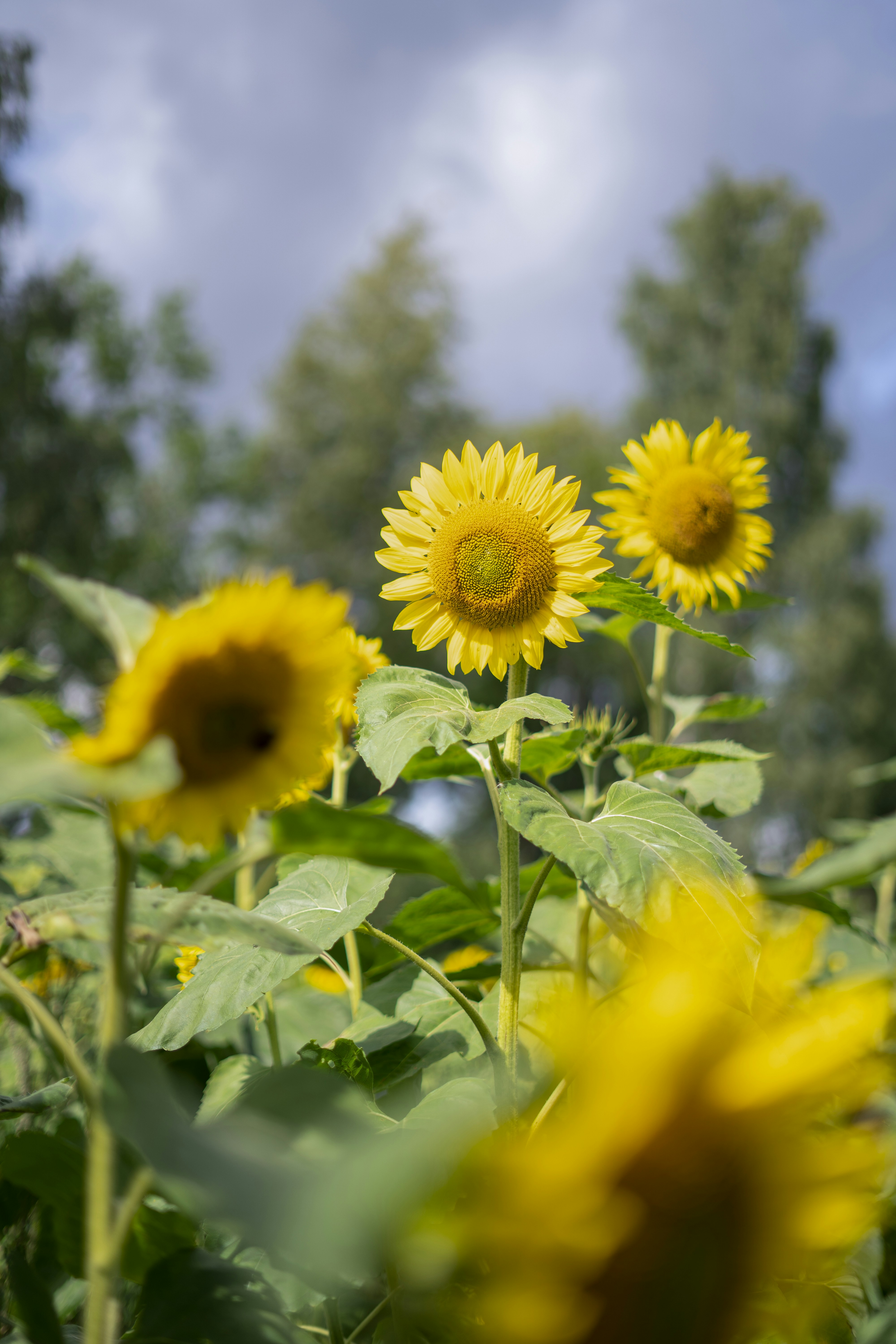 Photo by az1za_berd1eva