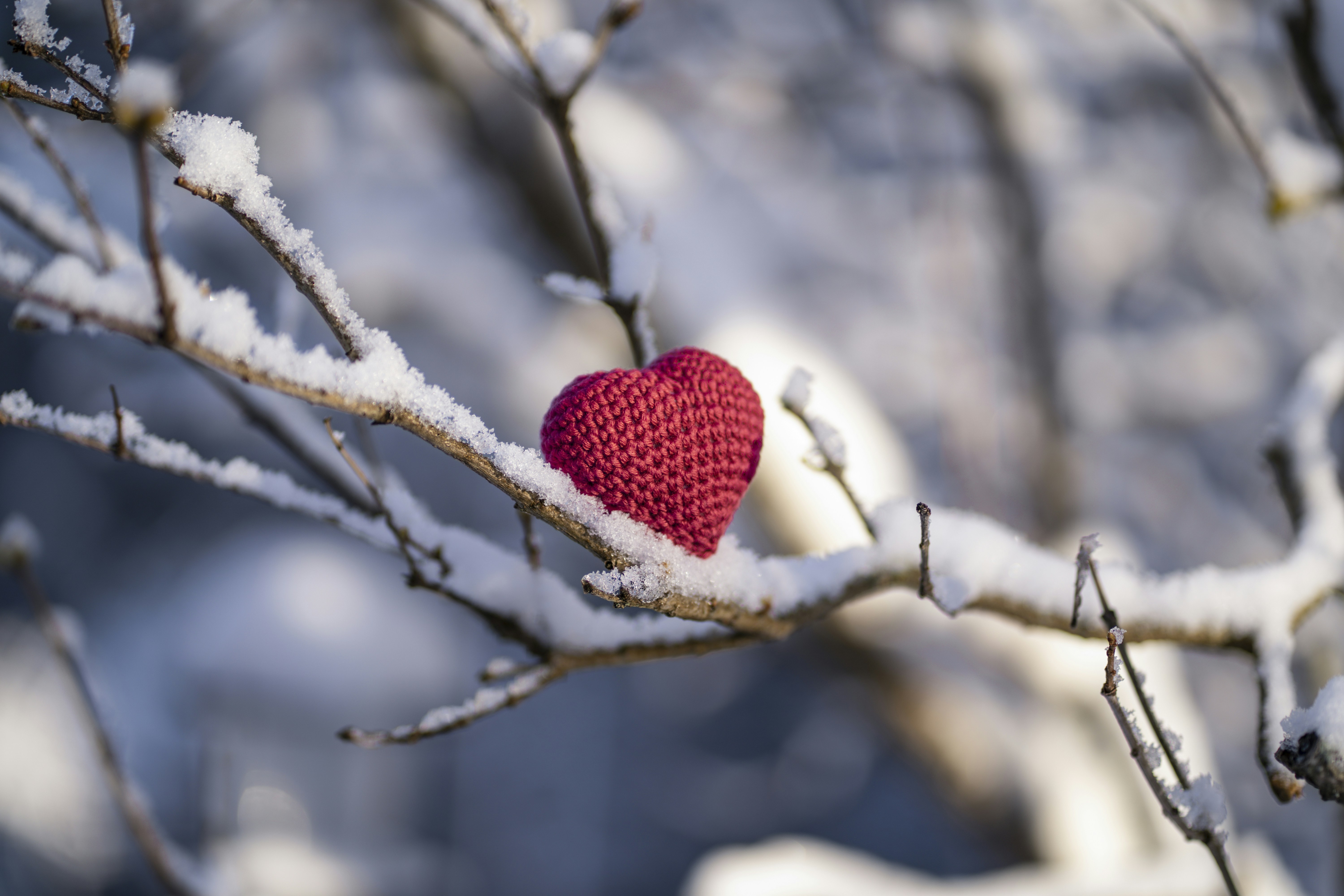Little red crochet heart on snowy tree branch