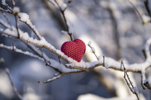 A red knitted heart sitting on a tree branch