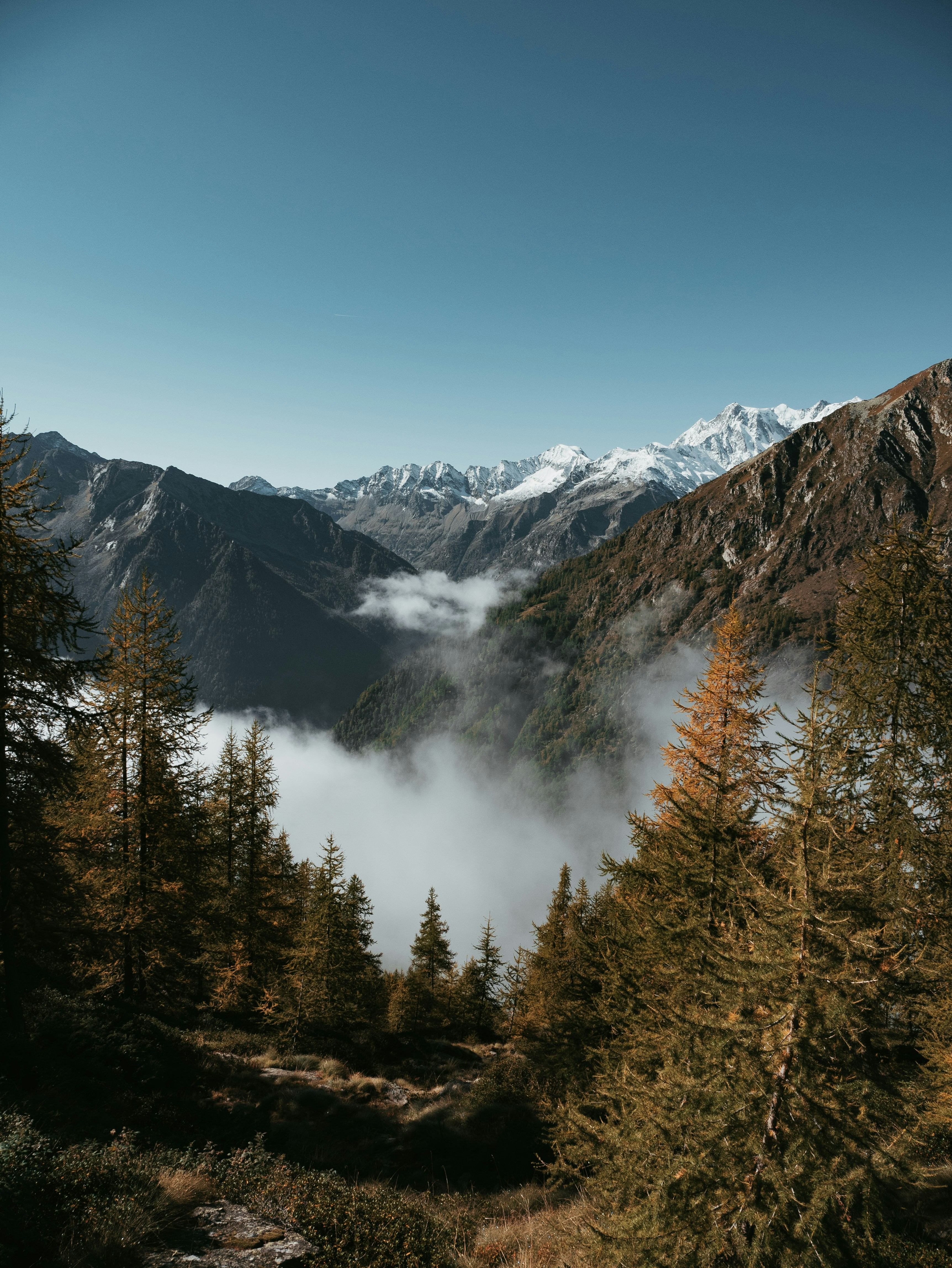 Photo by marcoricupero