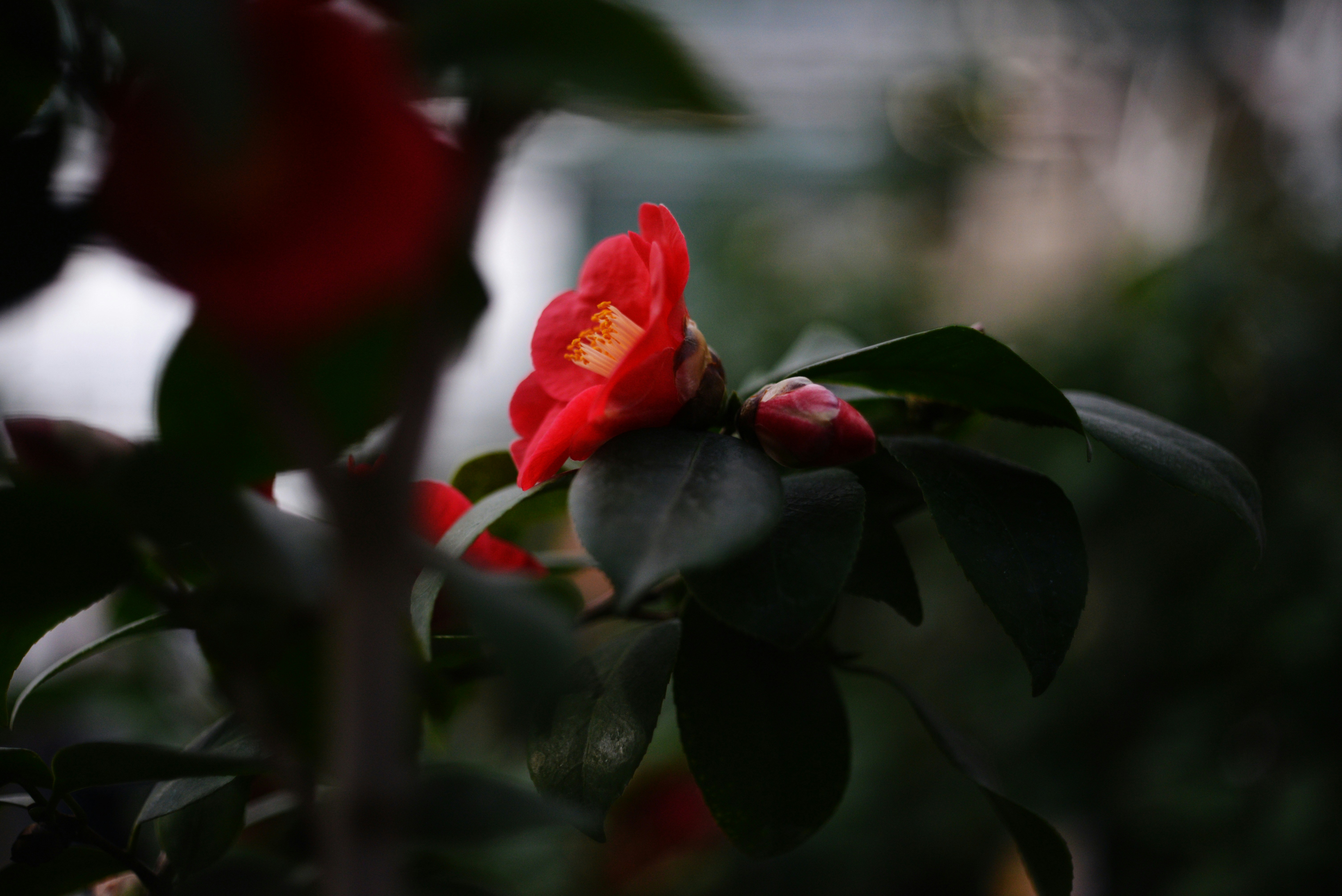 Photo by cherstve_pechivo