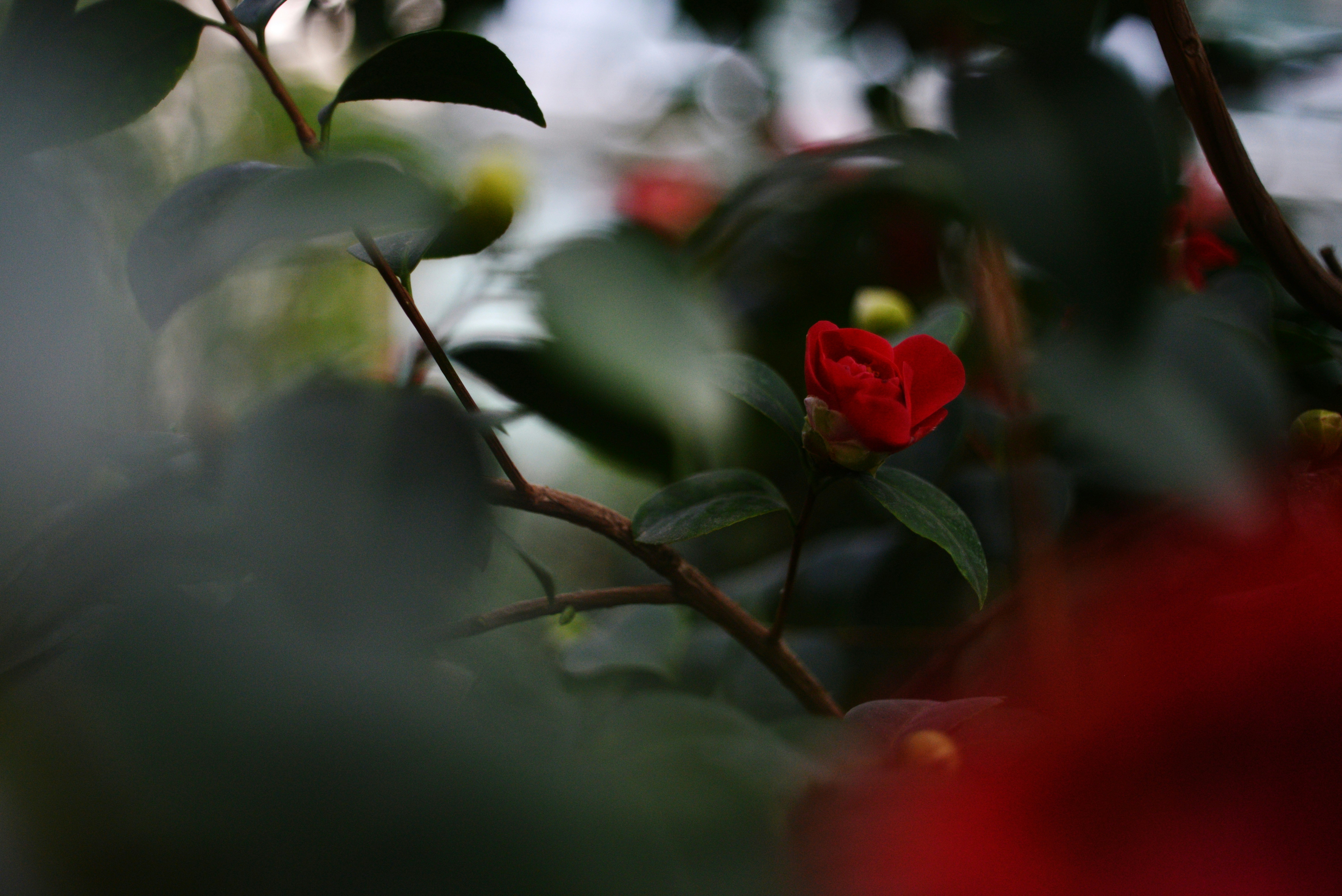 Photo by cherstve_pechivo