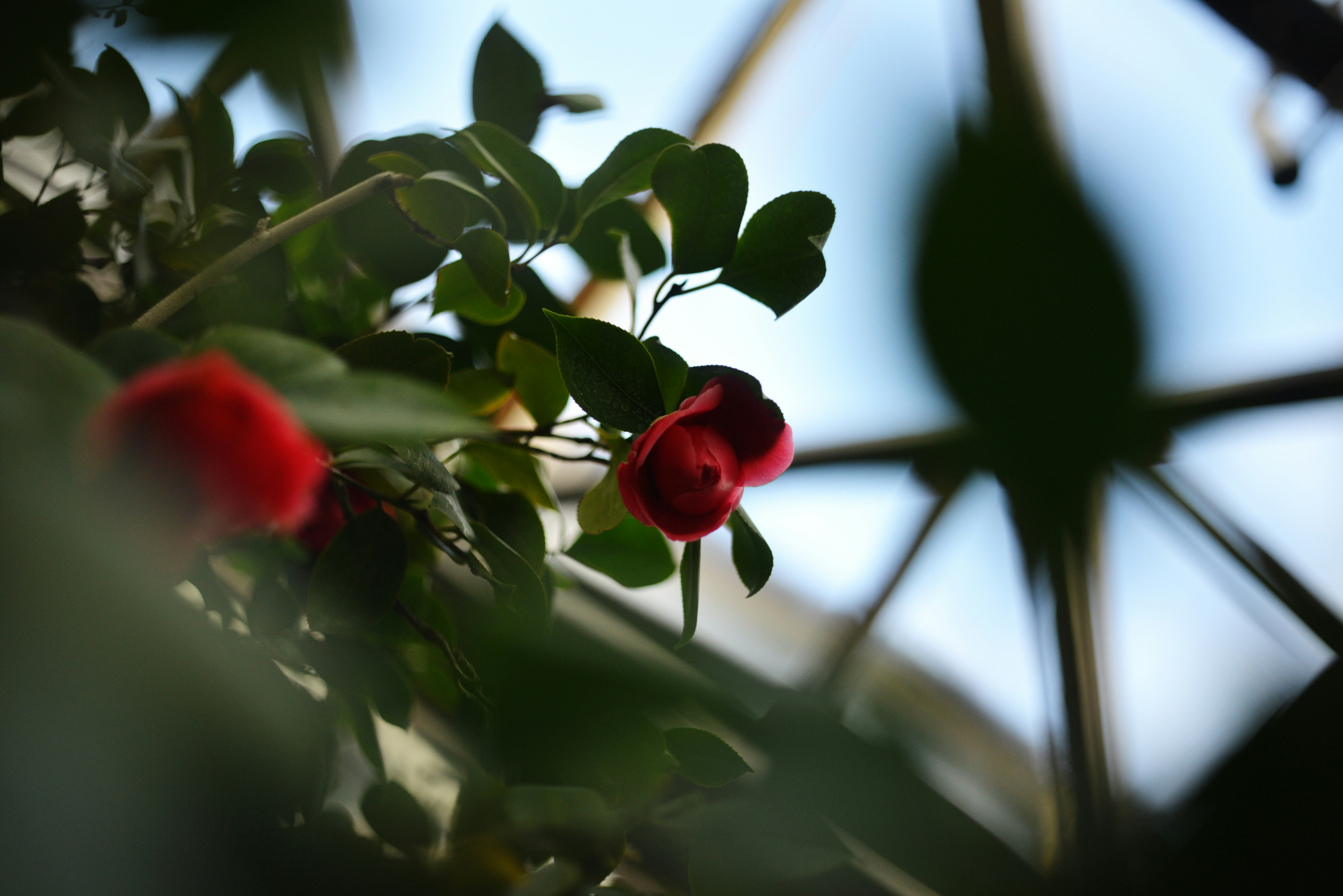 Photo by cherstve_pechivo