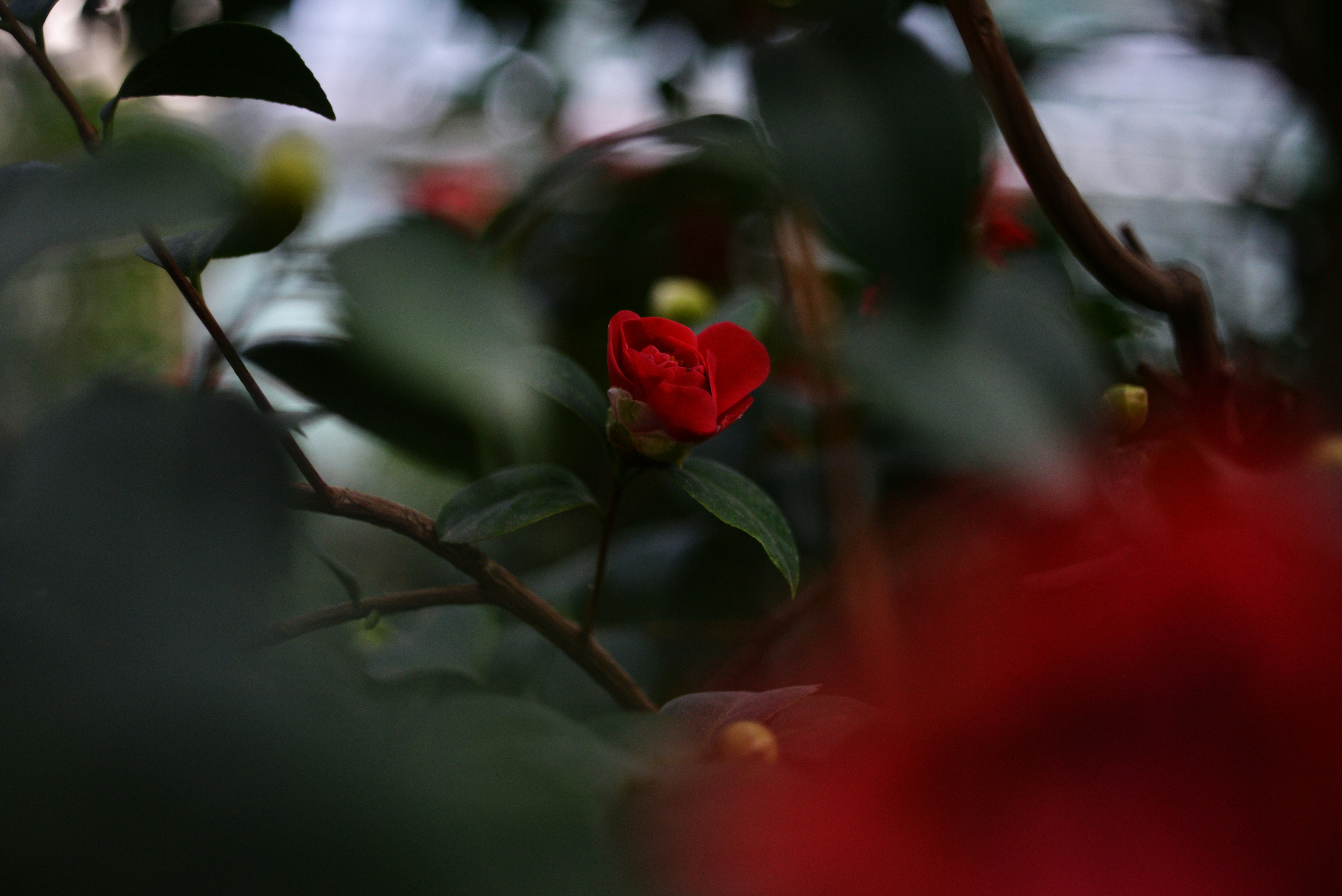 Photo by cherstve_pechivo