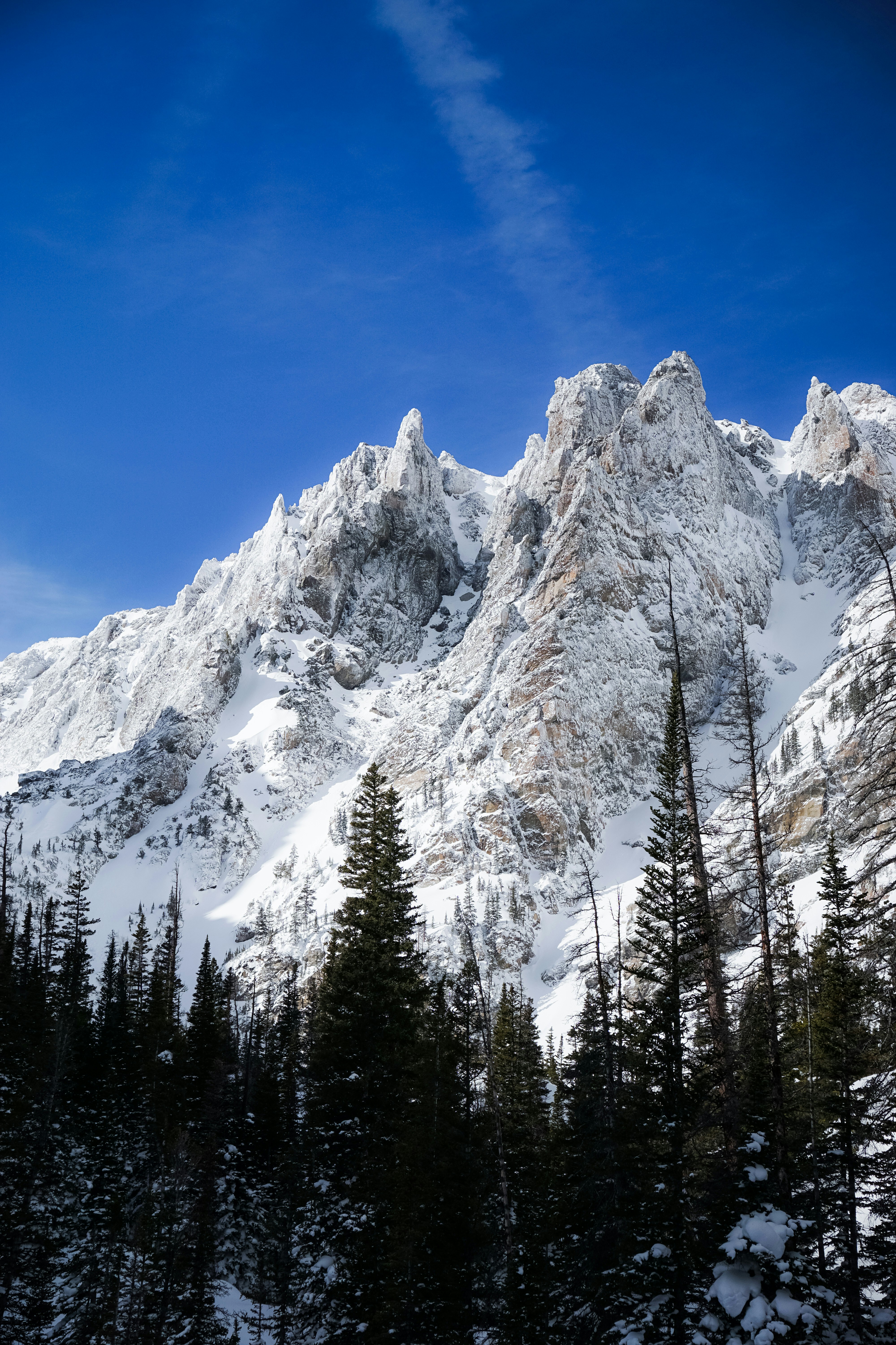 Photo by wendytakespics