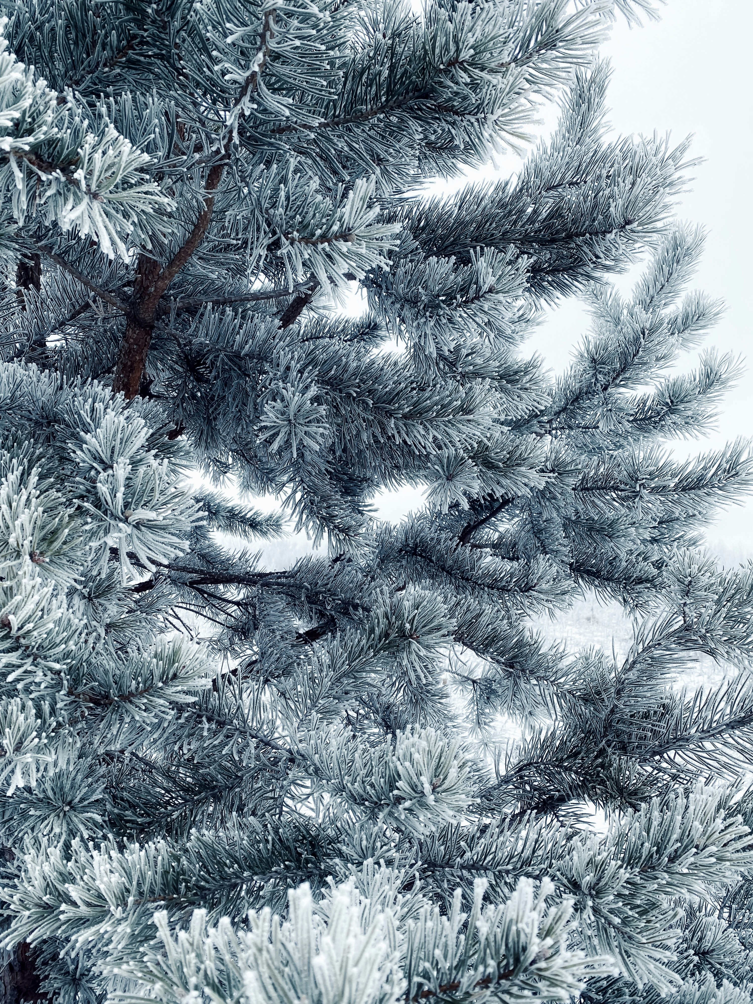 Photo by eugene_golovesov