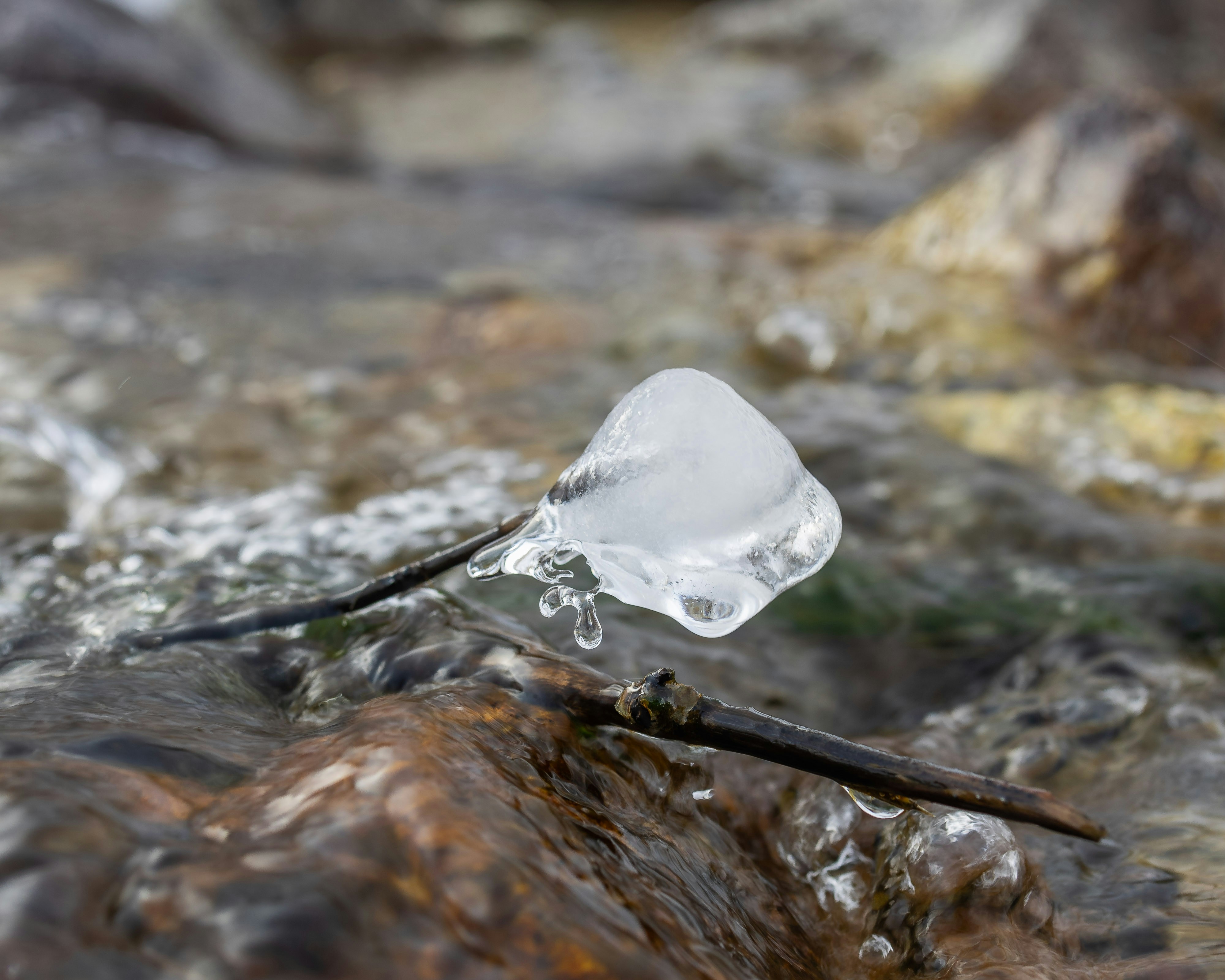 A plastic object floating on top of a river photo – Free Ice Image on ...
