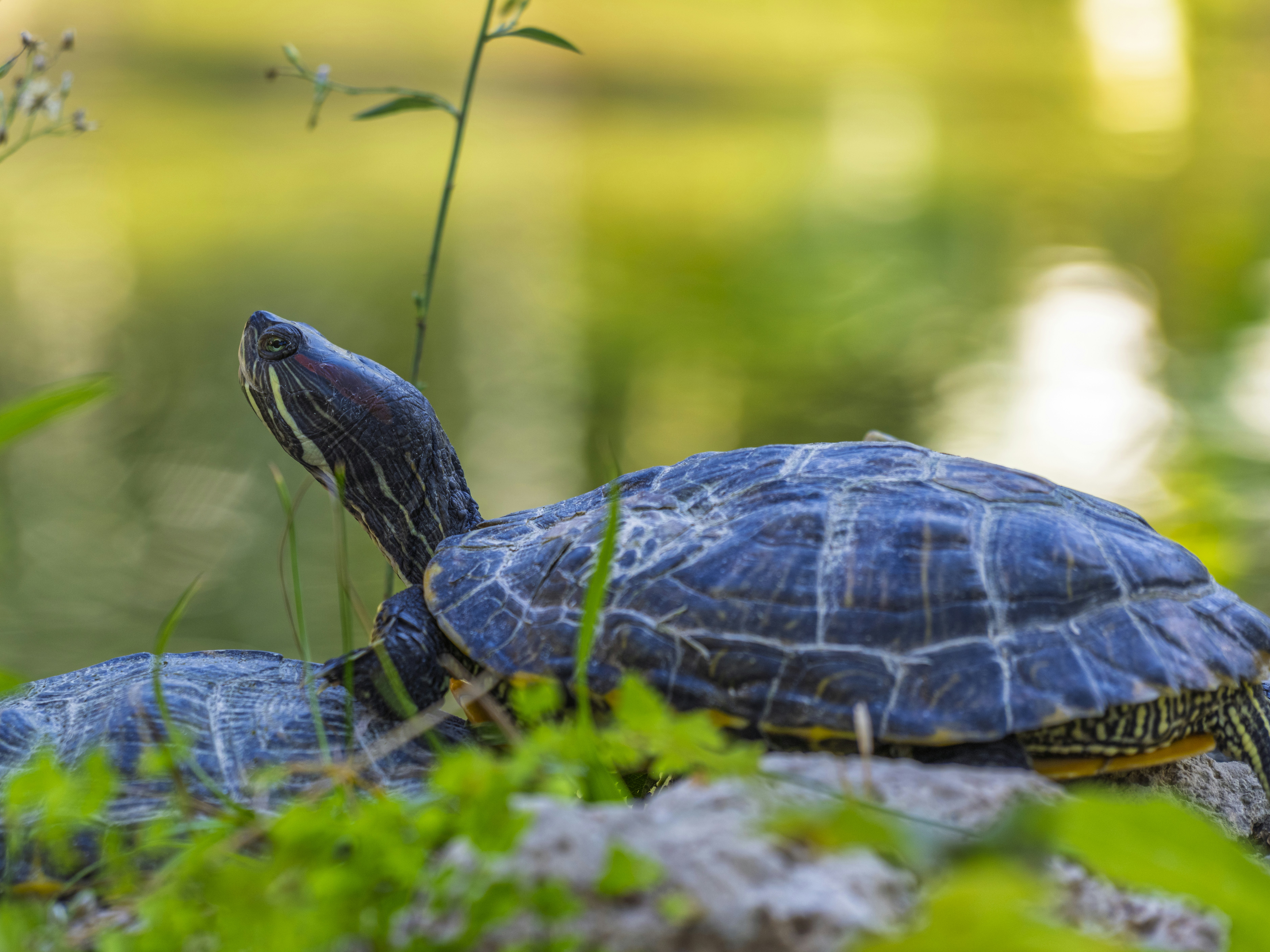 Photo by enginakyurt