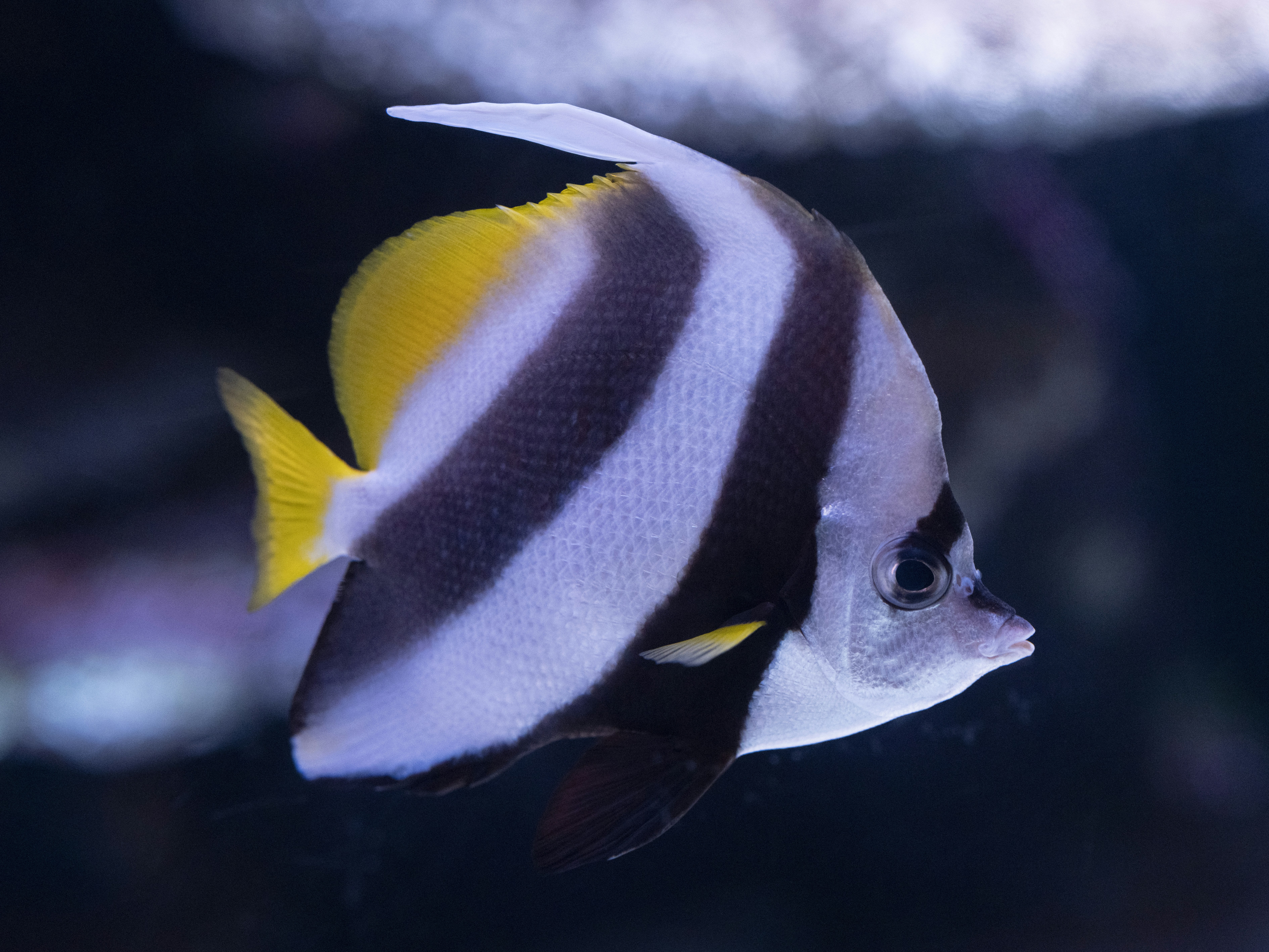 Photo by enginakyurt