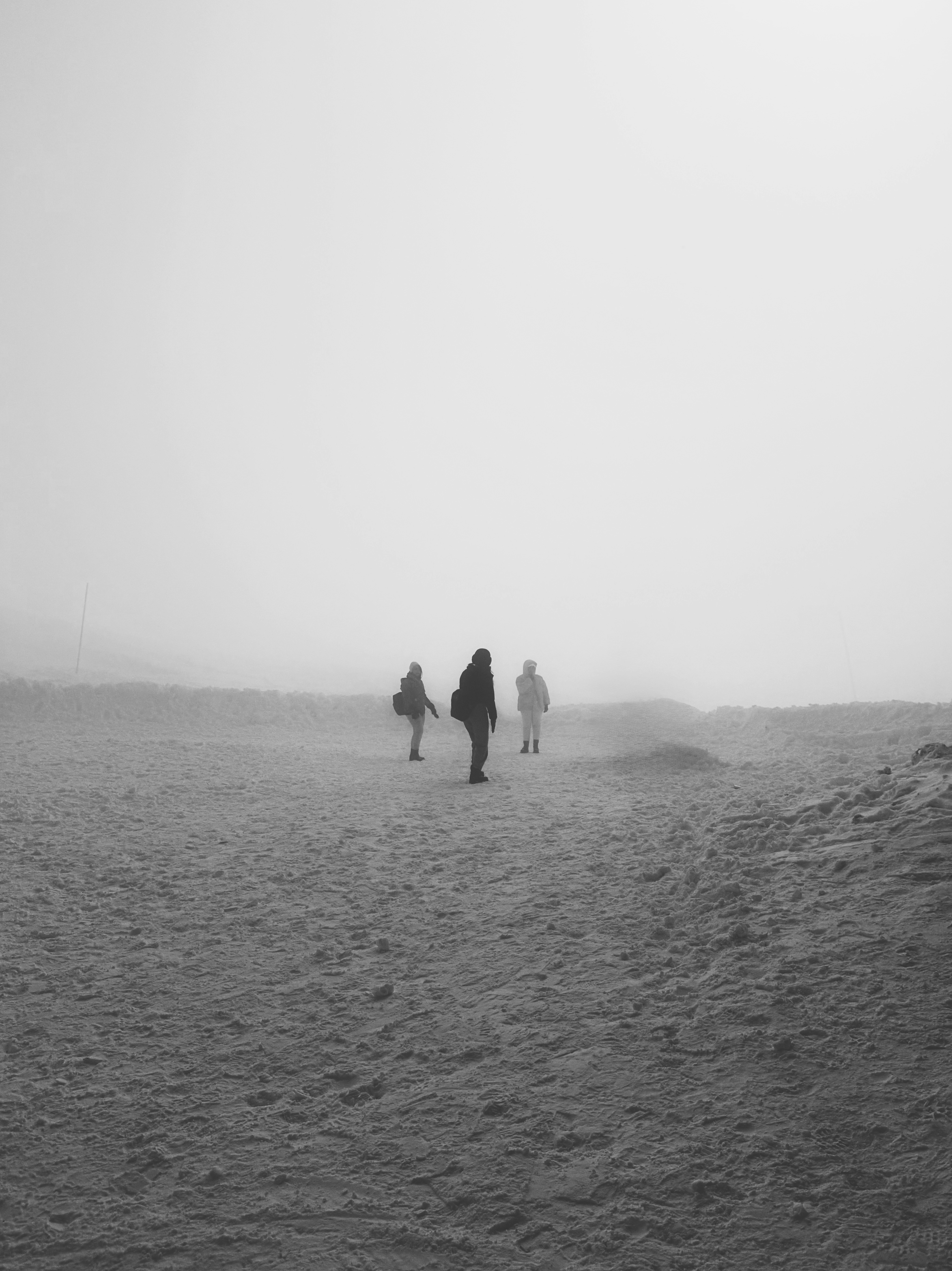 Photo by roozbeheslami