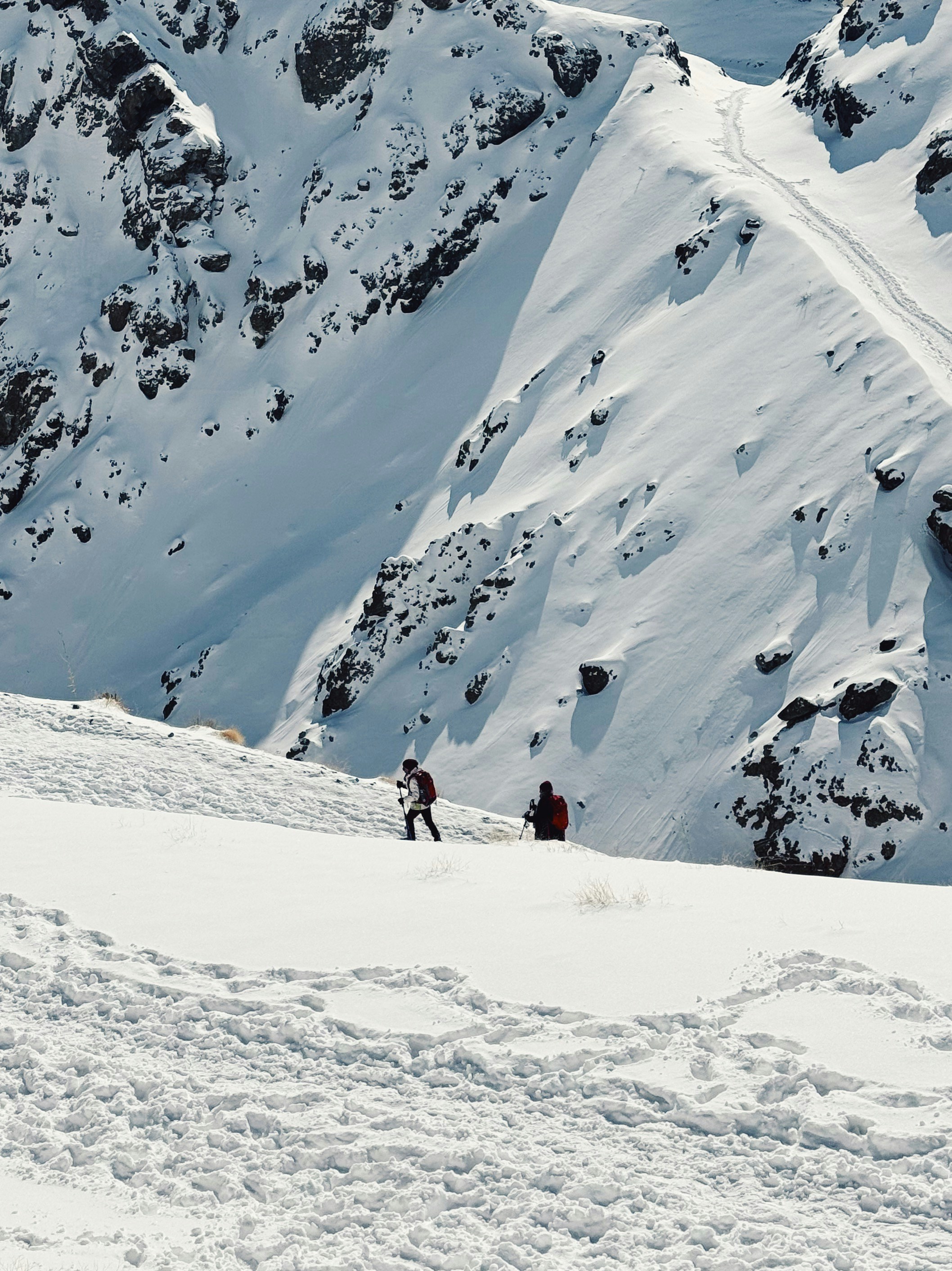 Photo by roozbeheslami