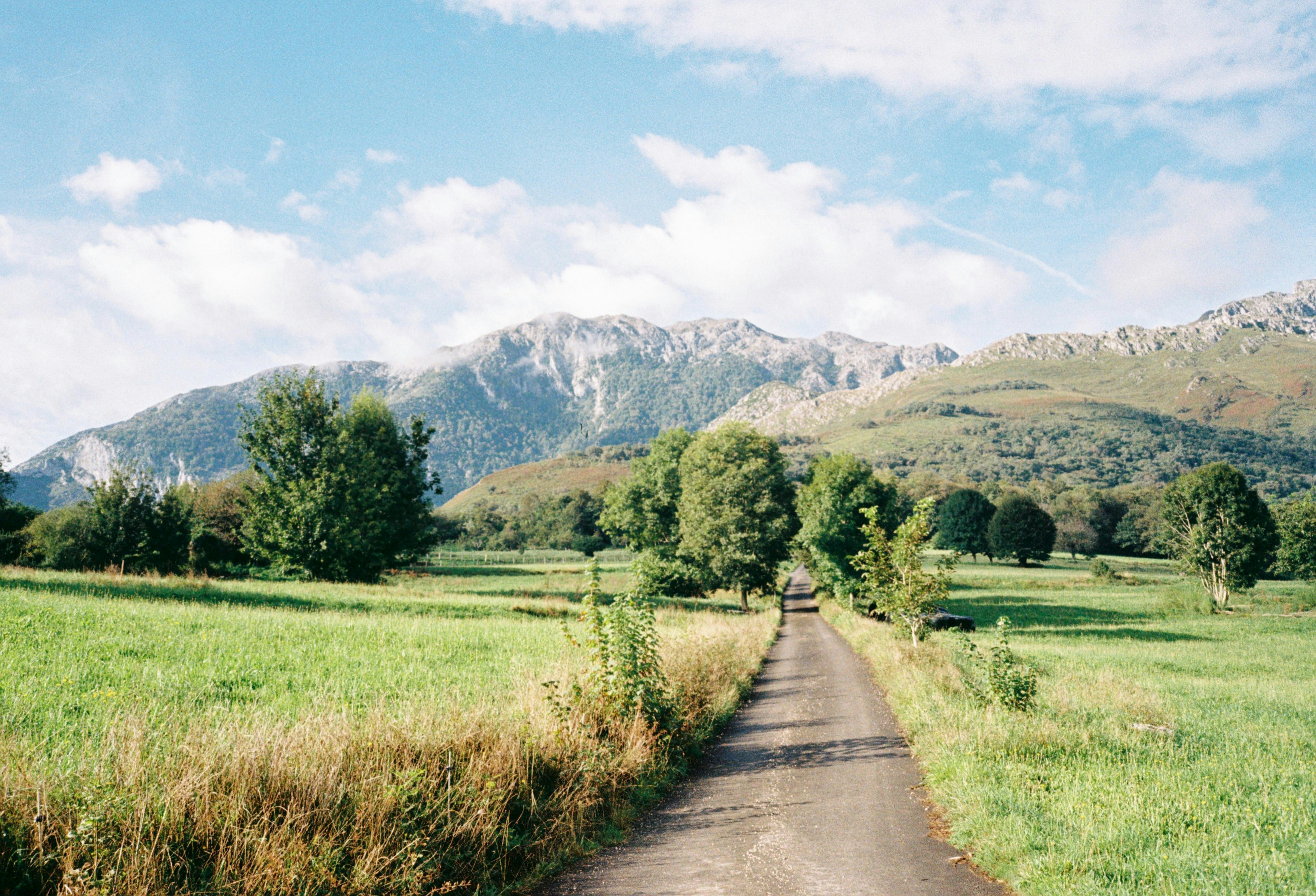 Photo by quietcreativestudio