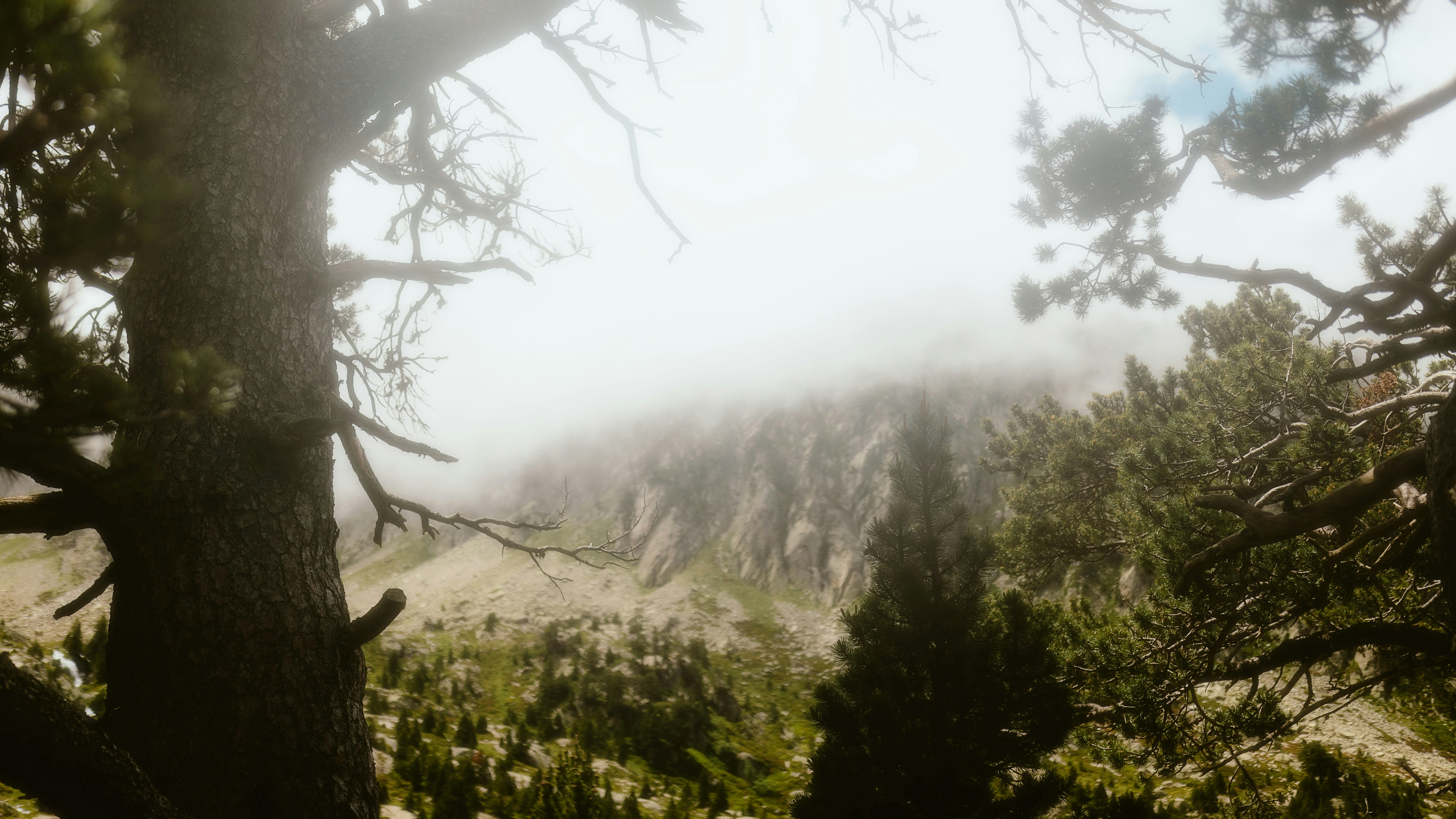 Photo by alingavriliuc