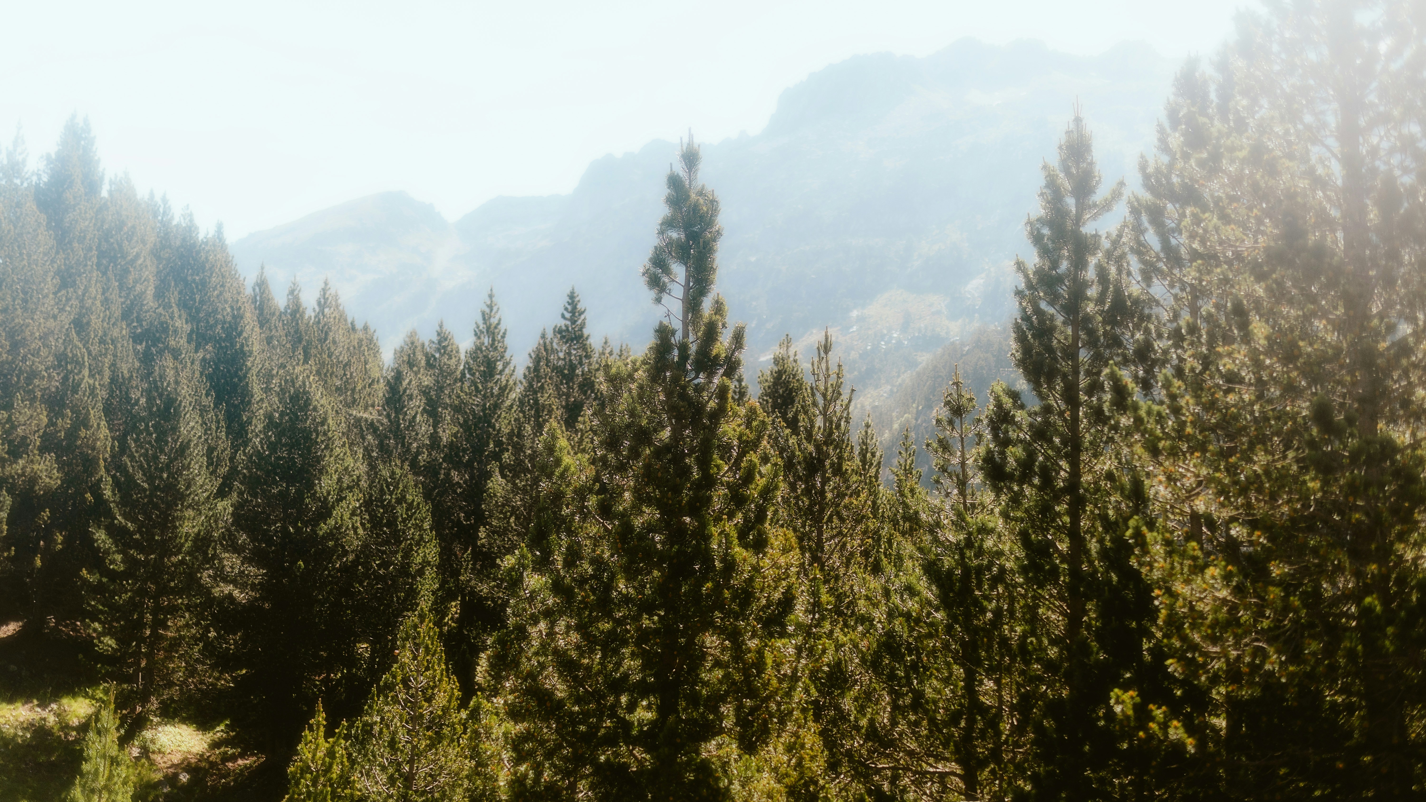 Photo by alingavriliuc