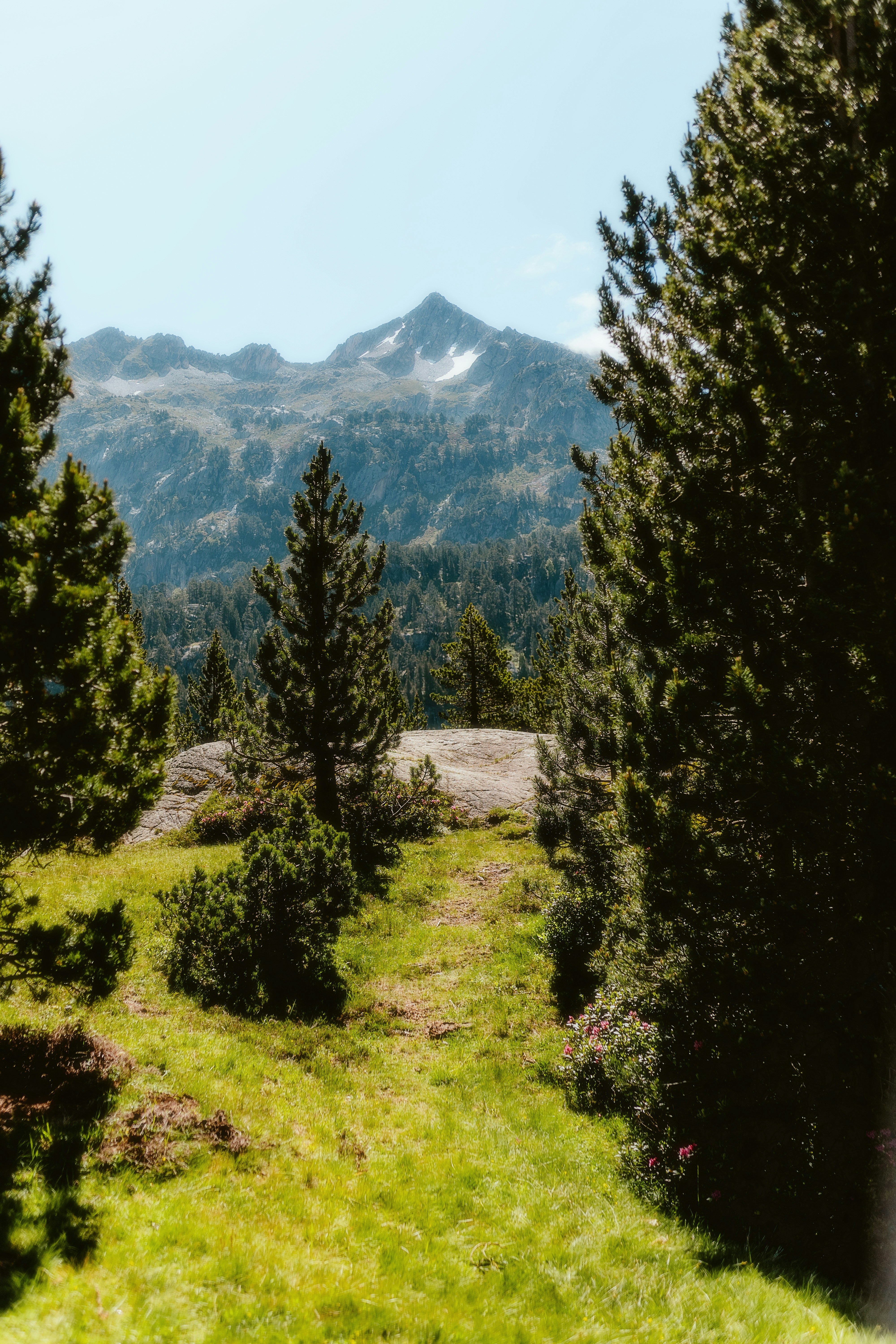 Photo by alingavriliuc