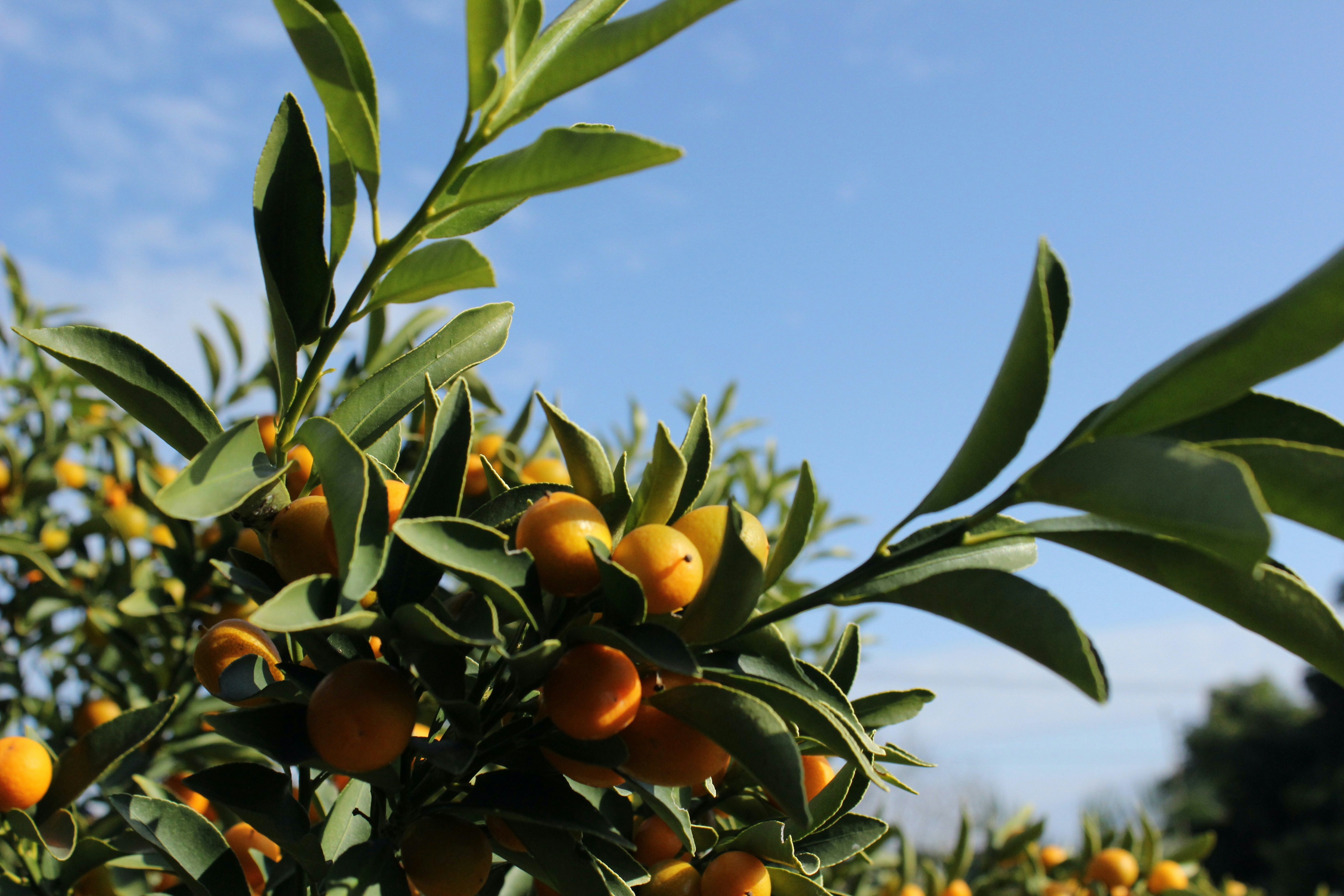 Photo by congregatixn