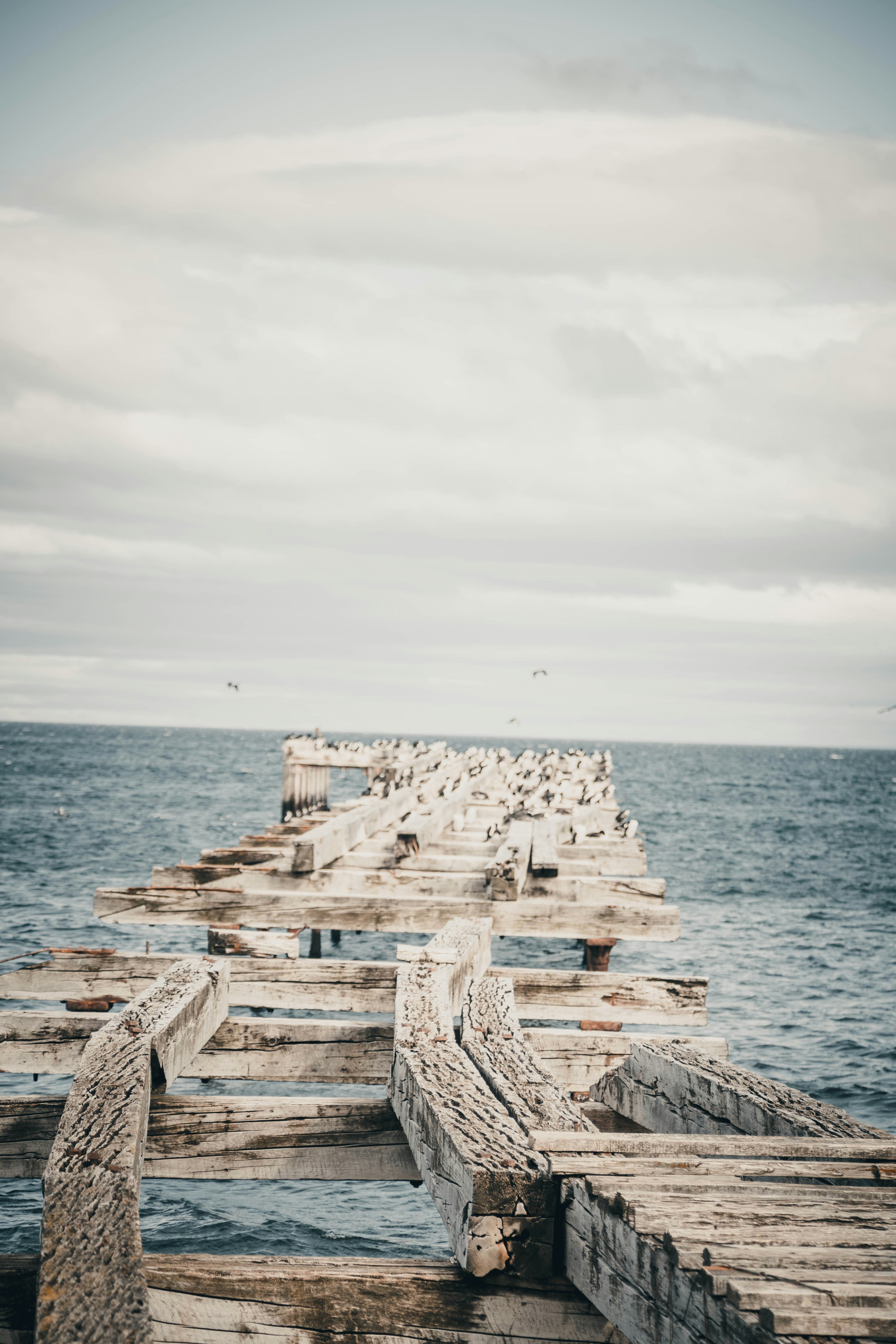 Photo by gustavo0351