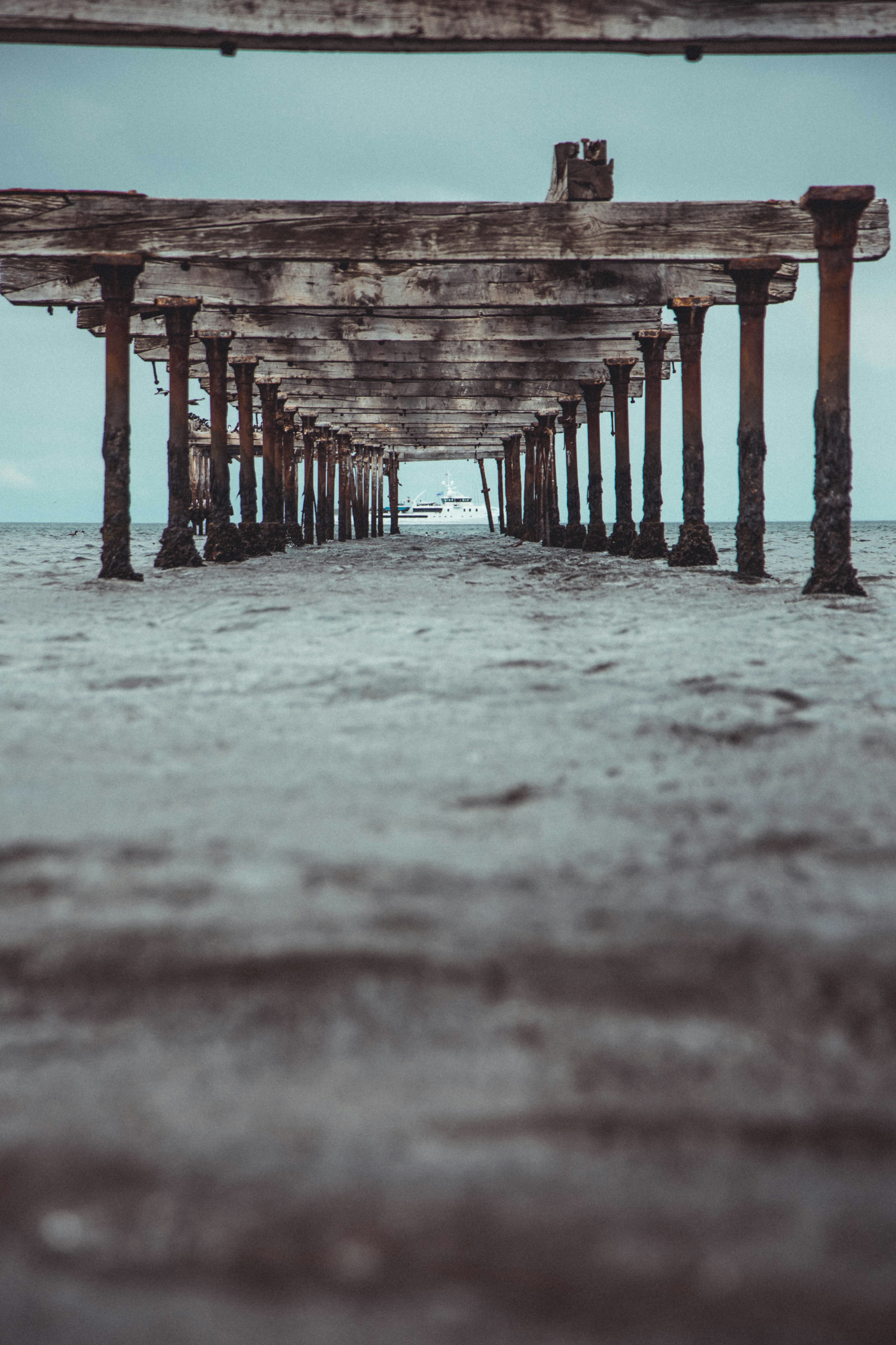 Photo by gustavo0351