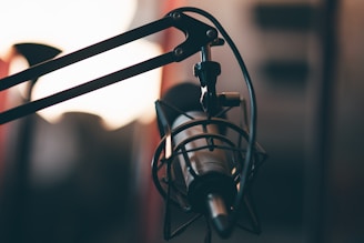 A close up of a microphone with a blurry background