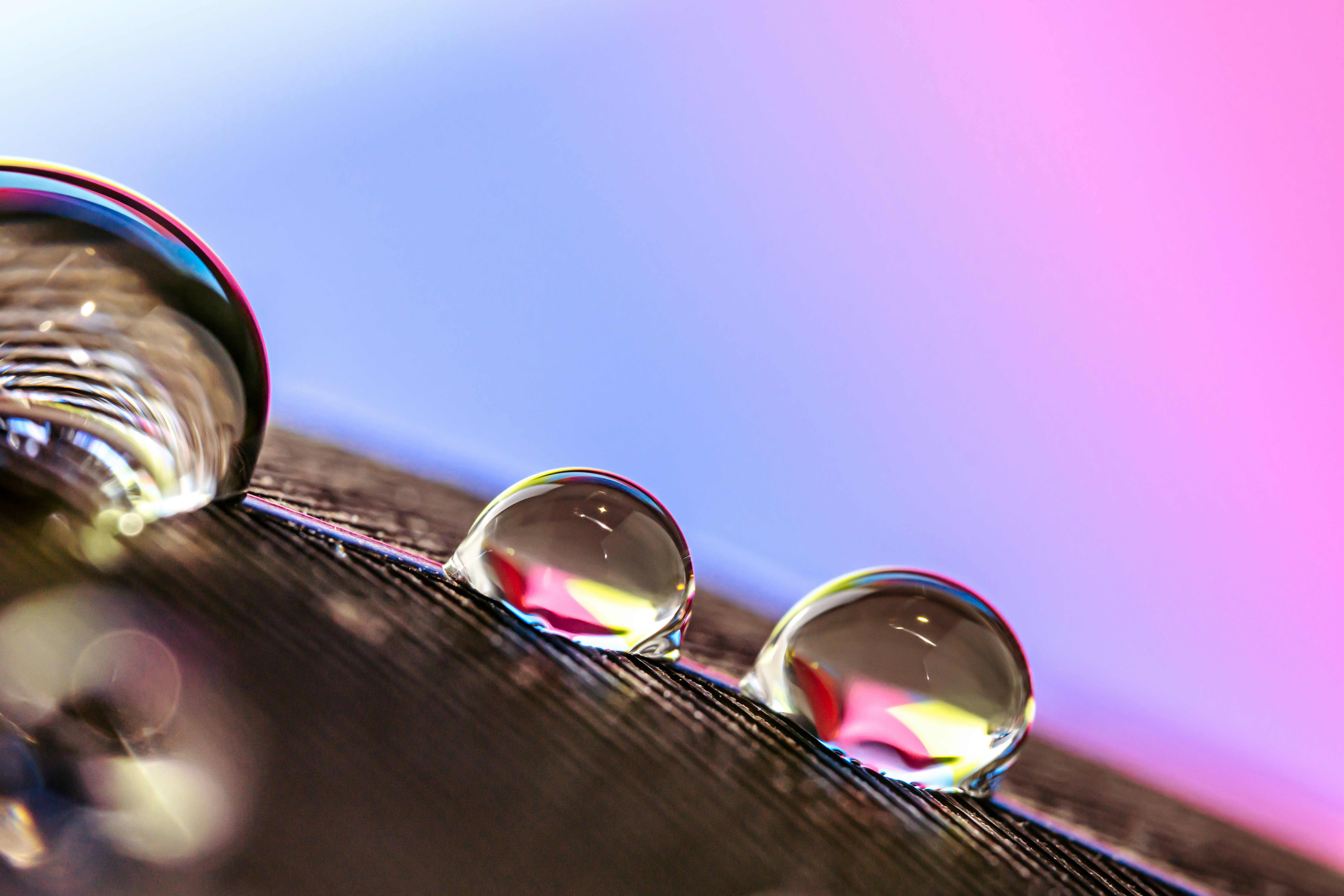 Water drops on feather jewelry display