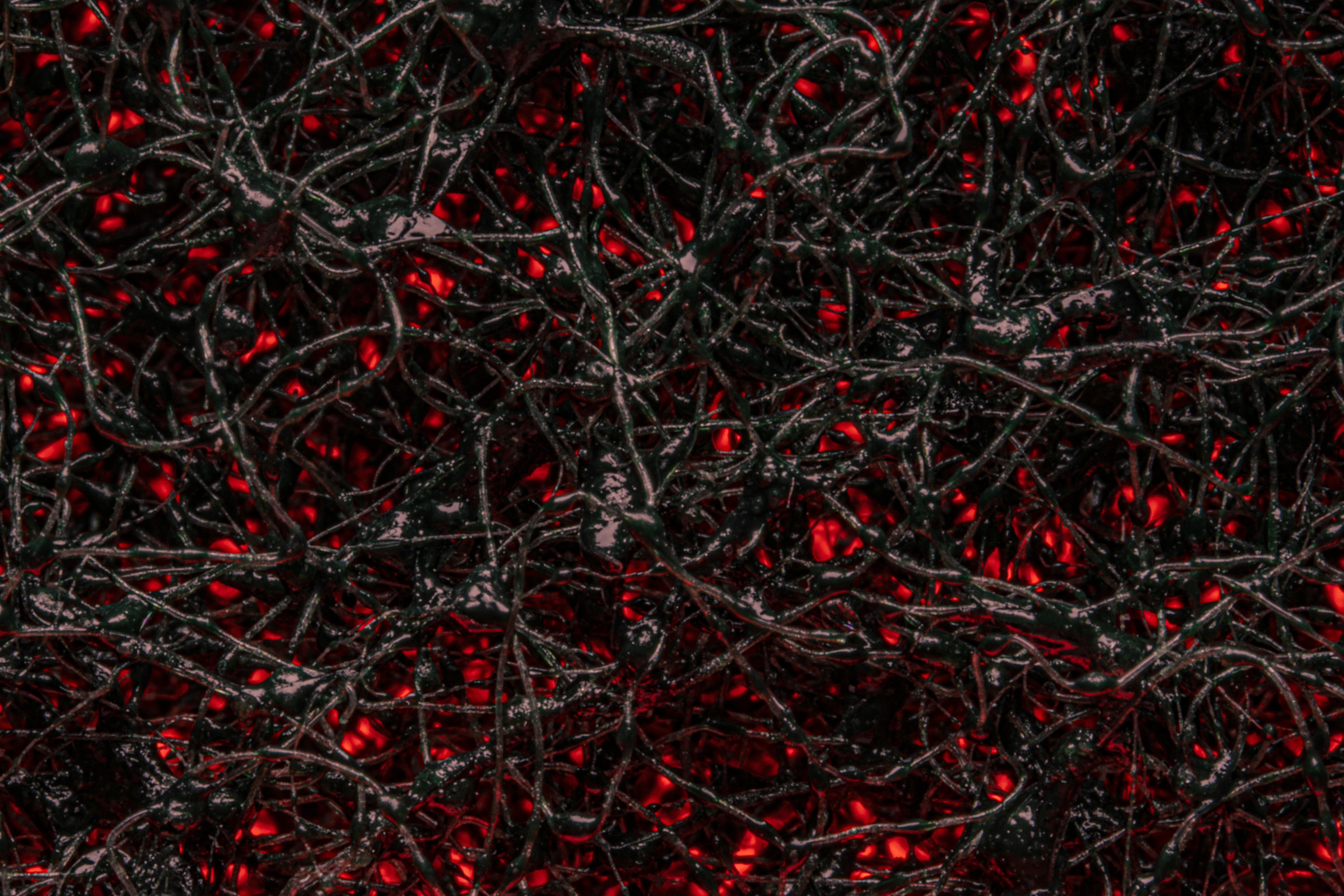 Photo by abushihabmarey