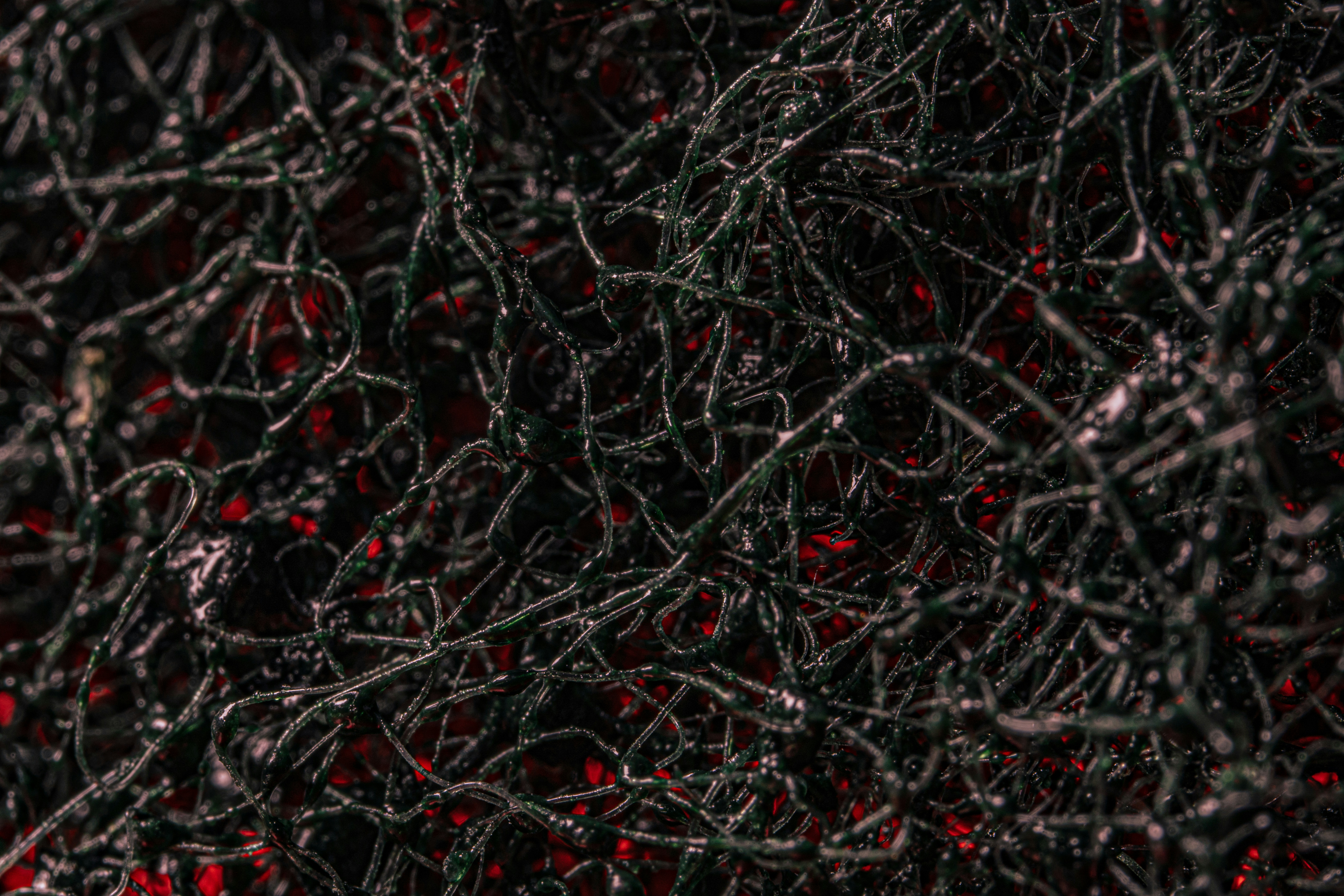 Photo by abushihabmarey