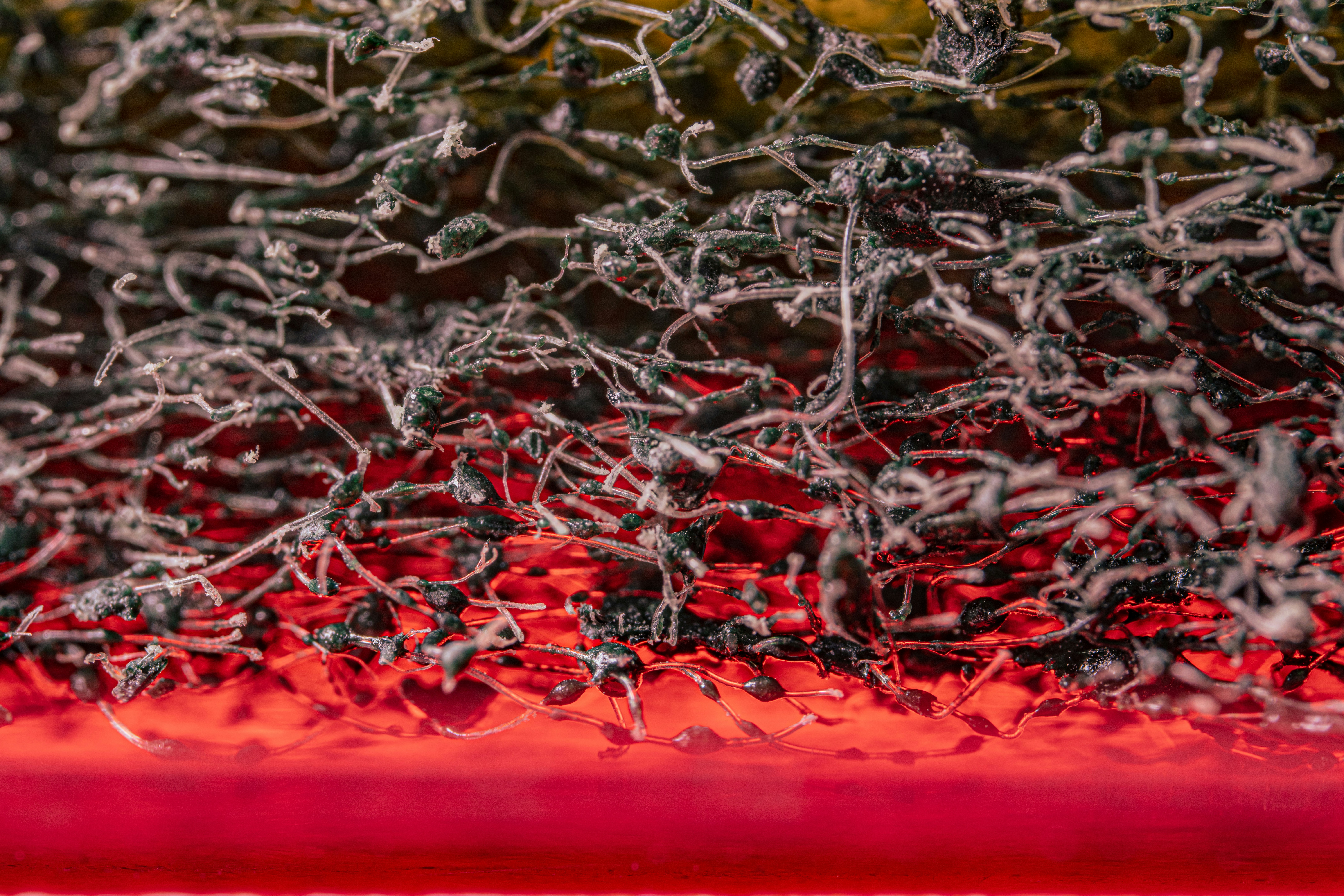 혈압계 숫자, 이제 안녕! 고혈압 탈출을 위한 인생 습관 大공개