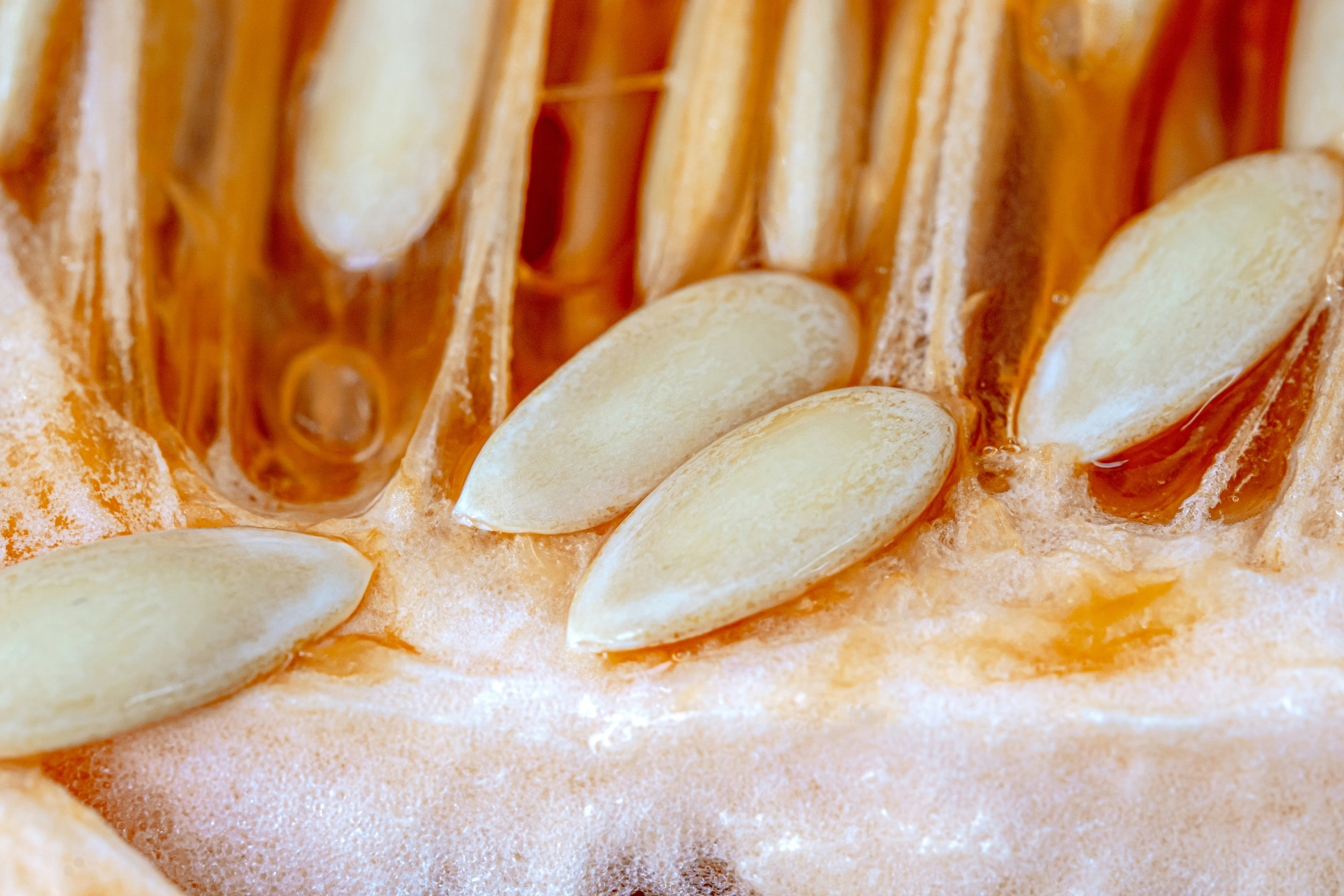 Protein Fermentation in Your Gut: The Hidden Muscle-Building Saboteur