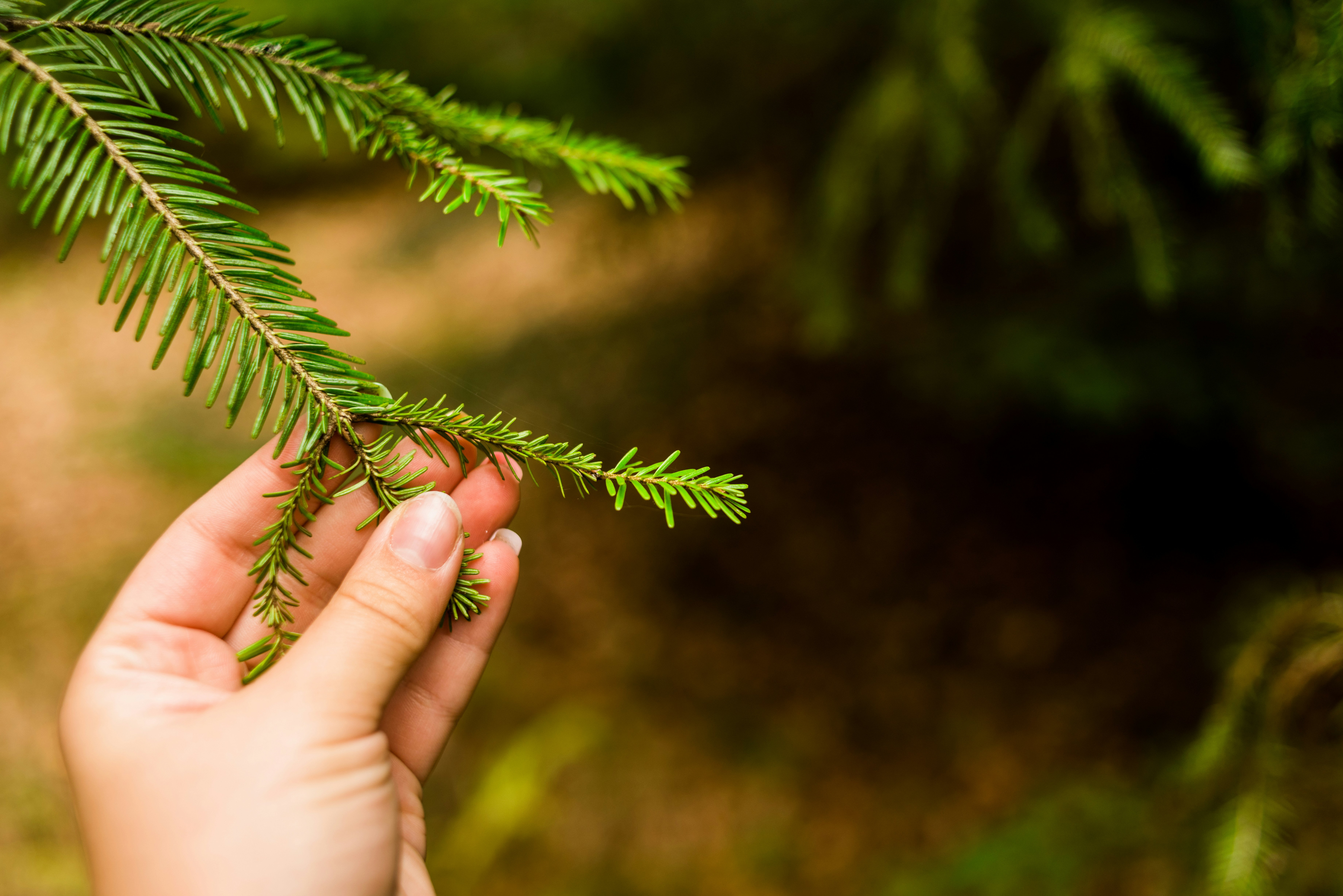 Photo by eugenivy_now