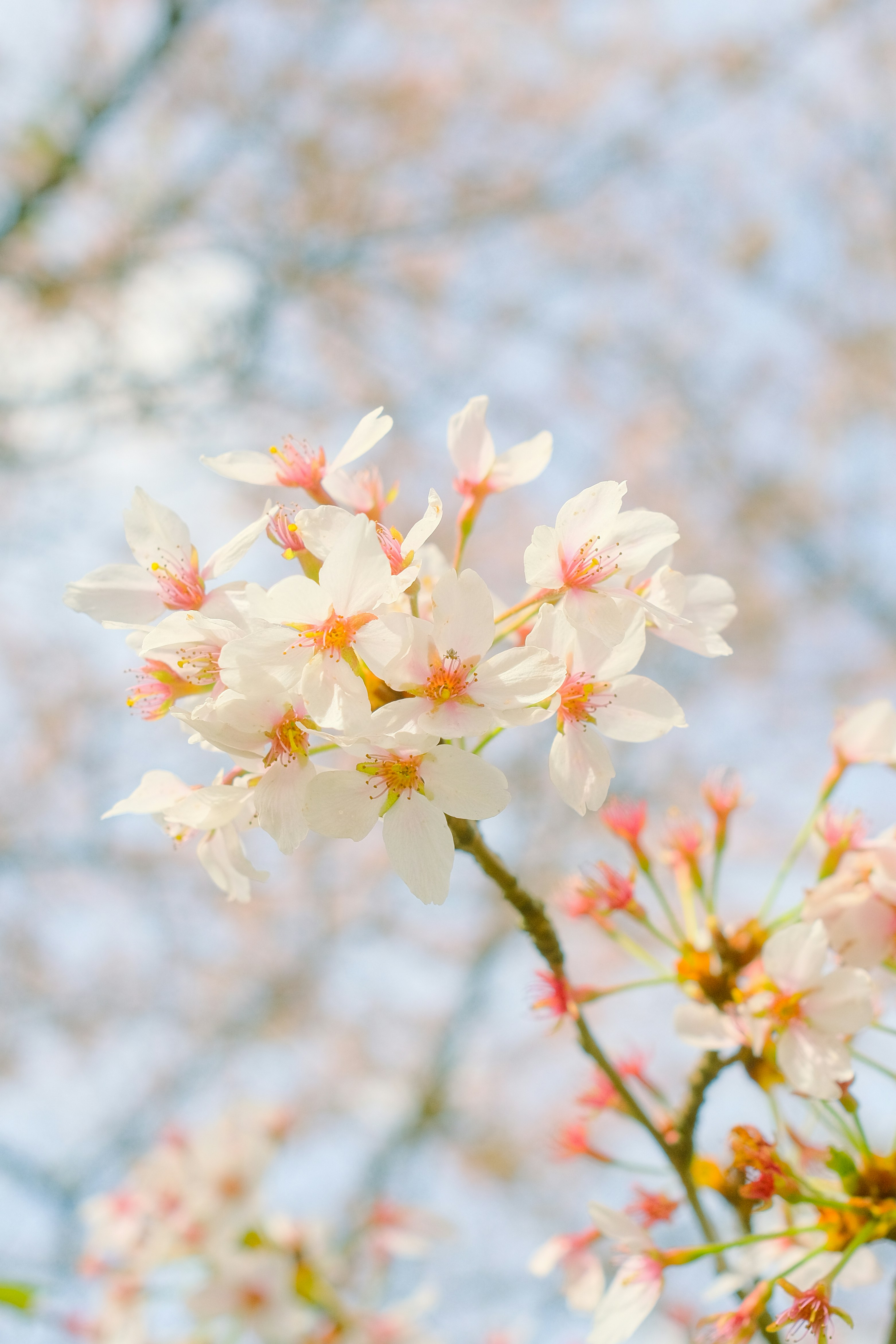 Photo by visualsbying