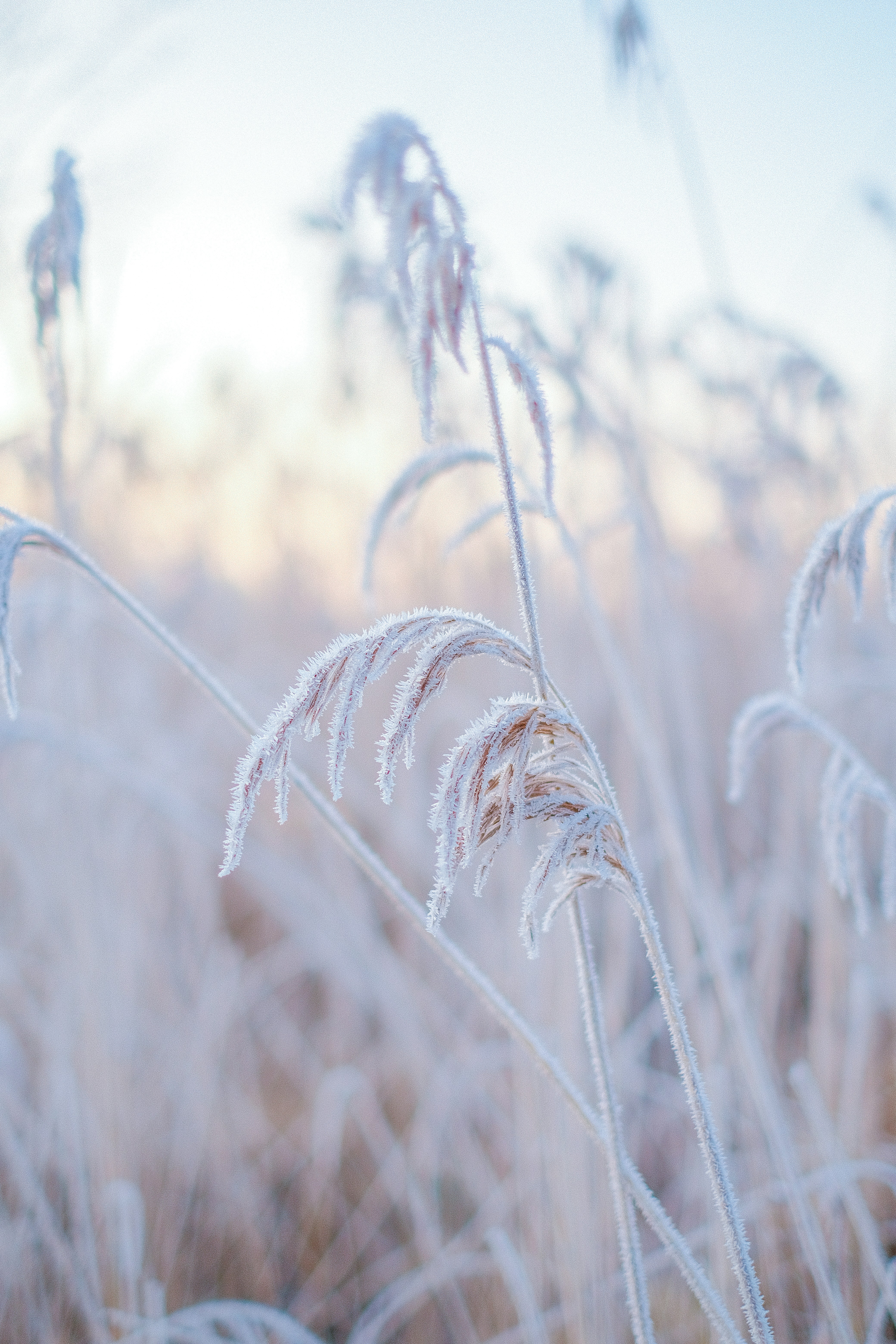 Photo by visualsbying