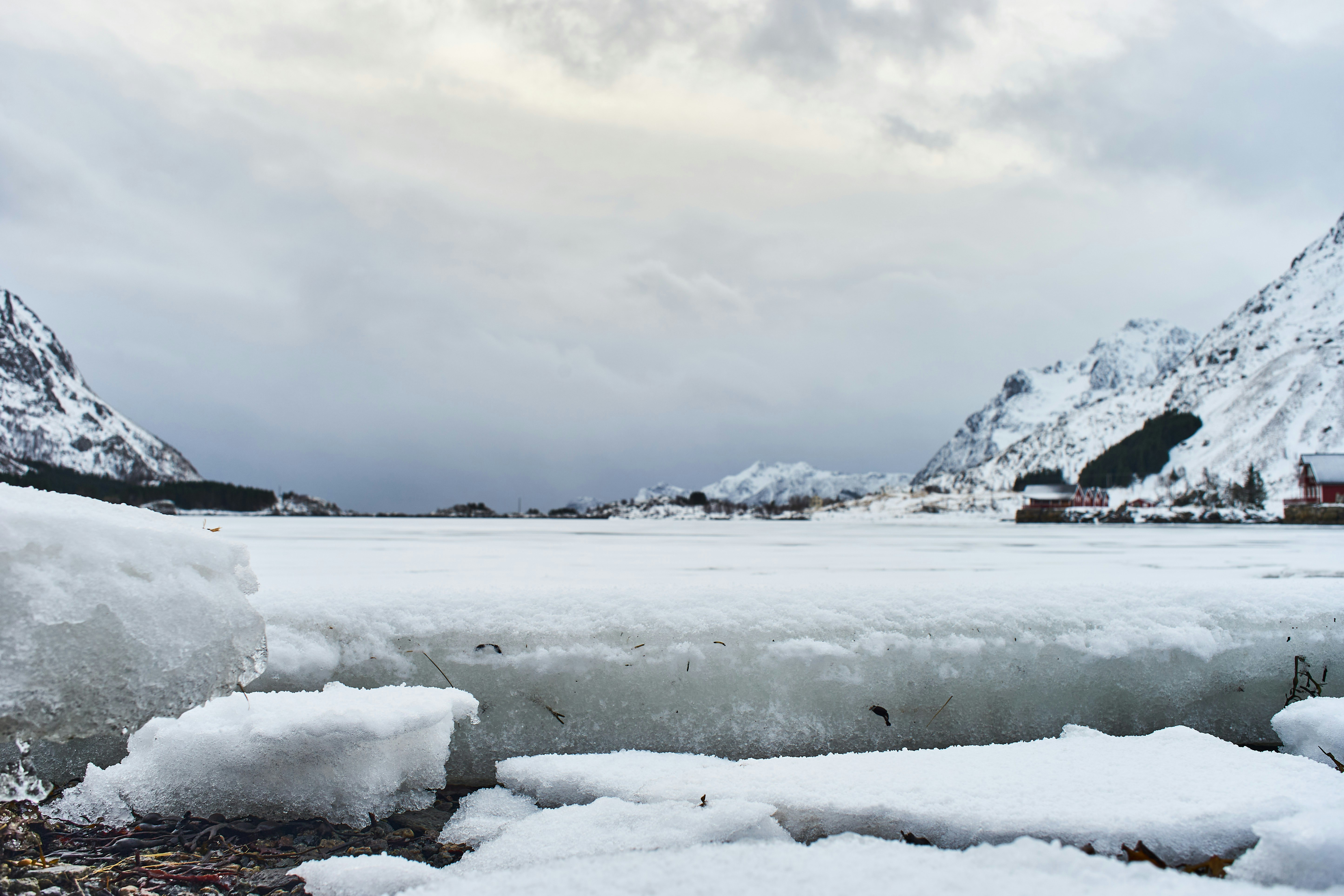 Photo by wolfgang_hasselmann