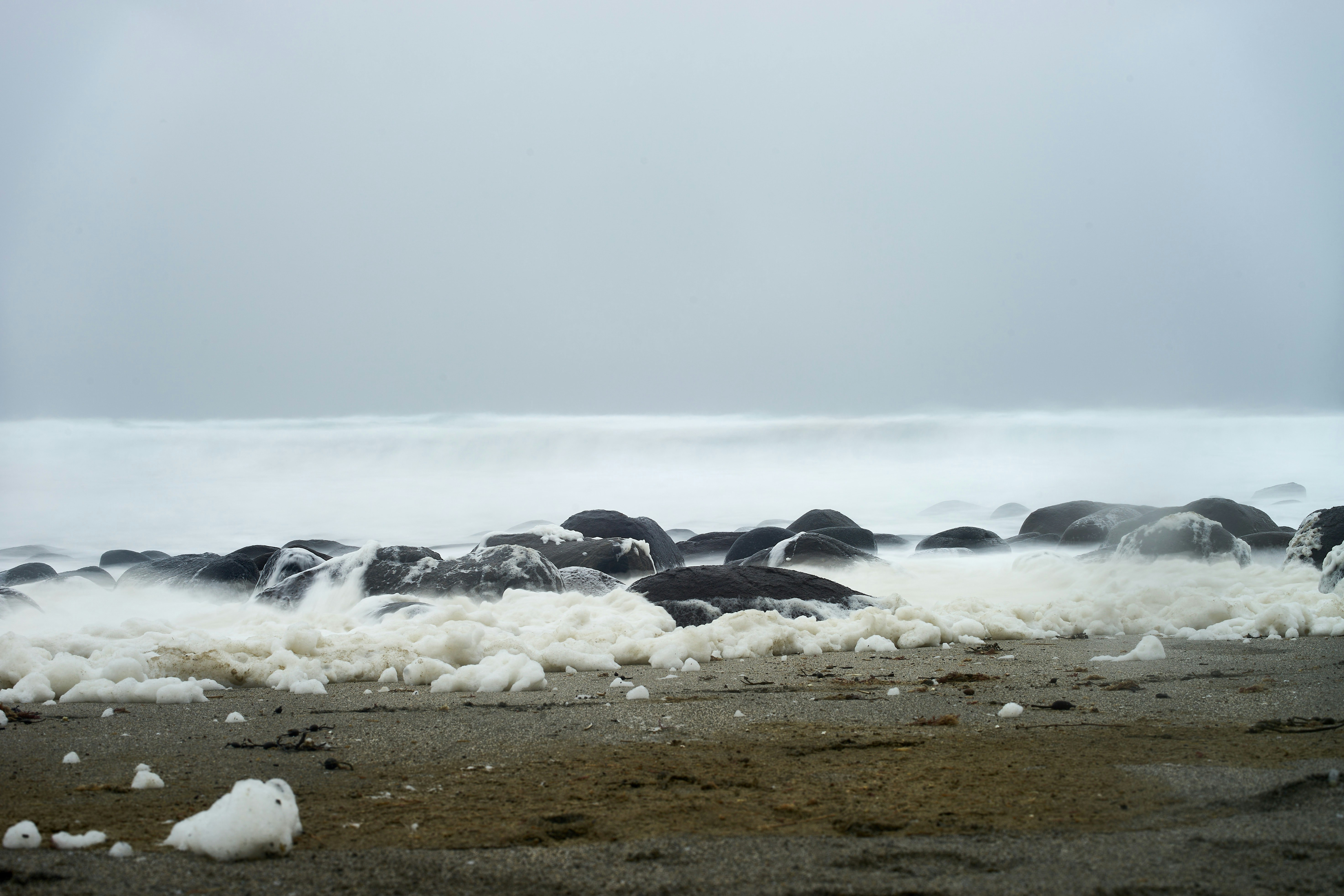 Photo by wolfgang_hasselmann