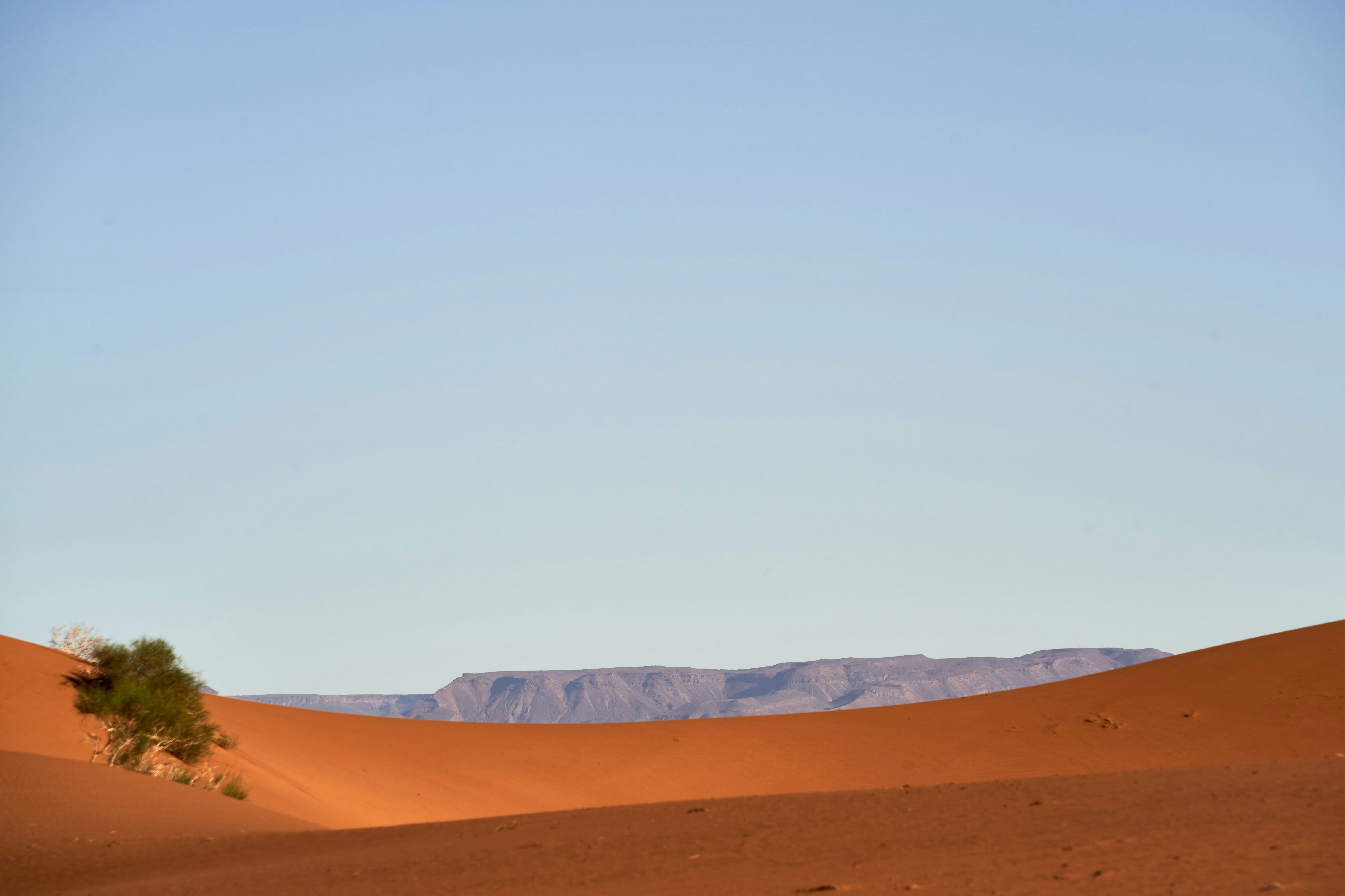 Photo by wolfgang_hasselmann