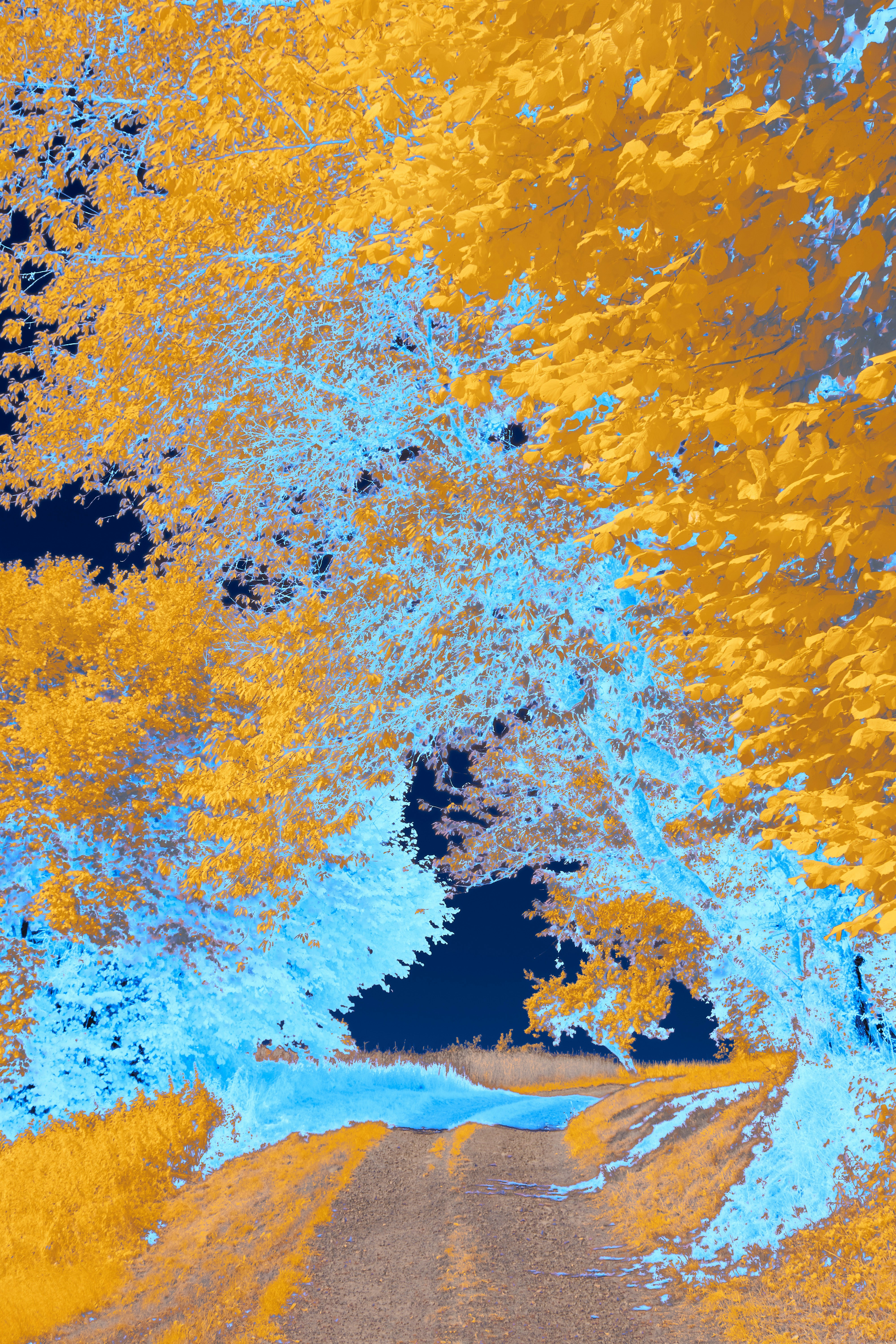 Photo by wolfgang_hasselmann