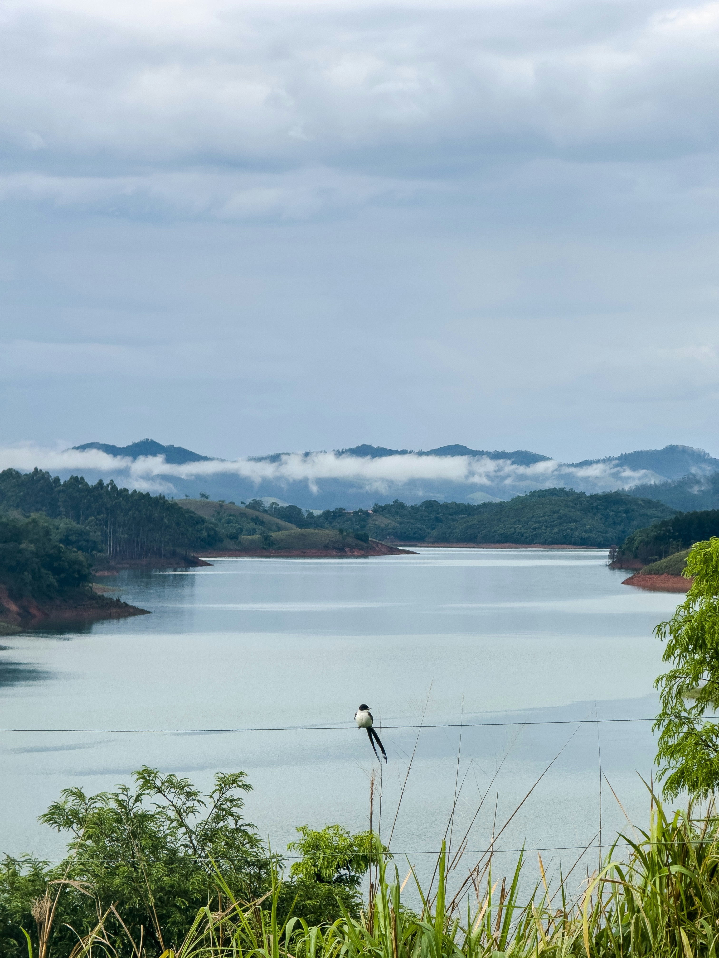 Photo by antoninovisalli