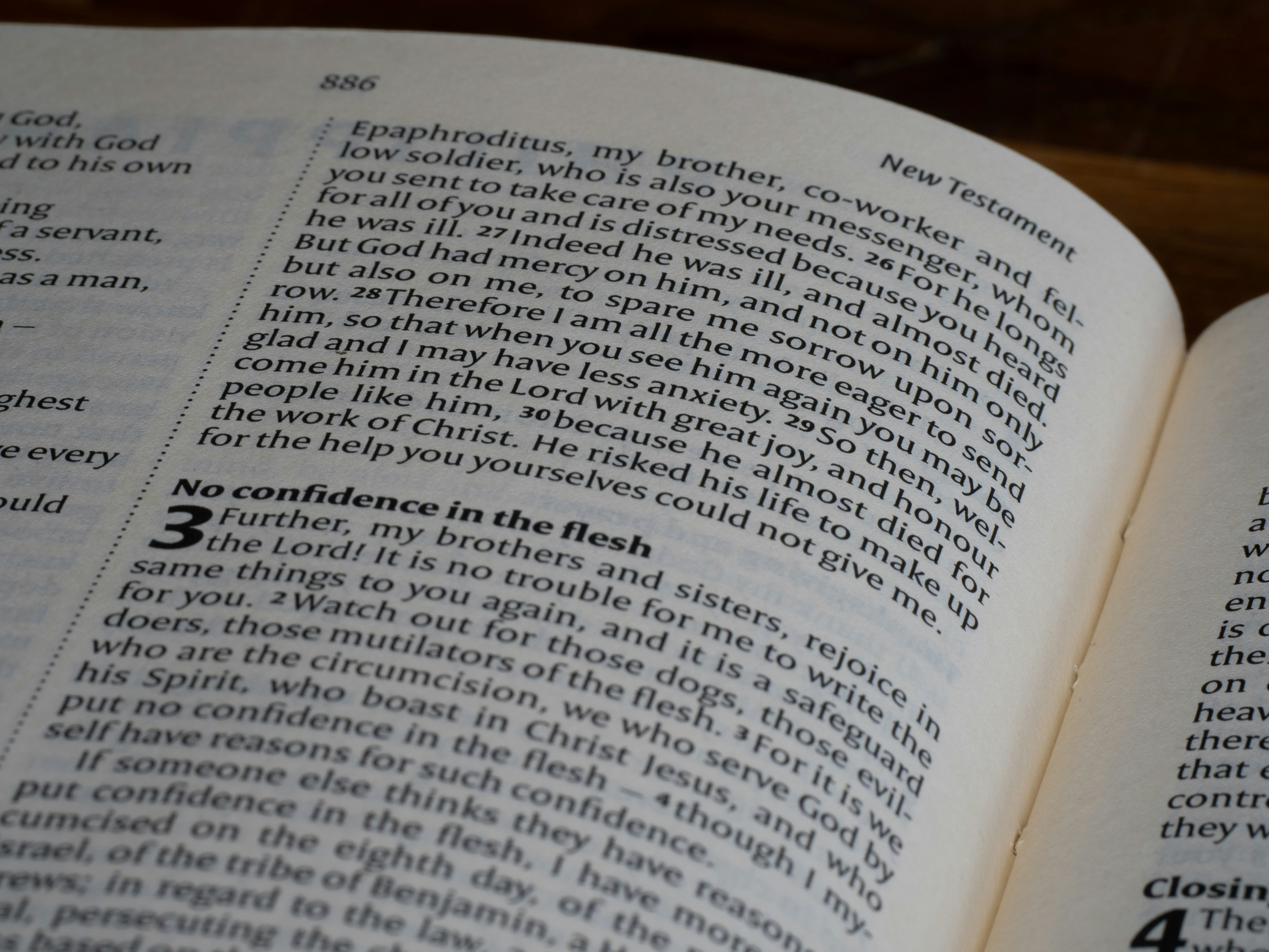 Photo by brett_jordan