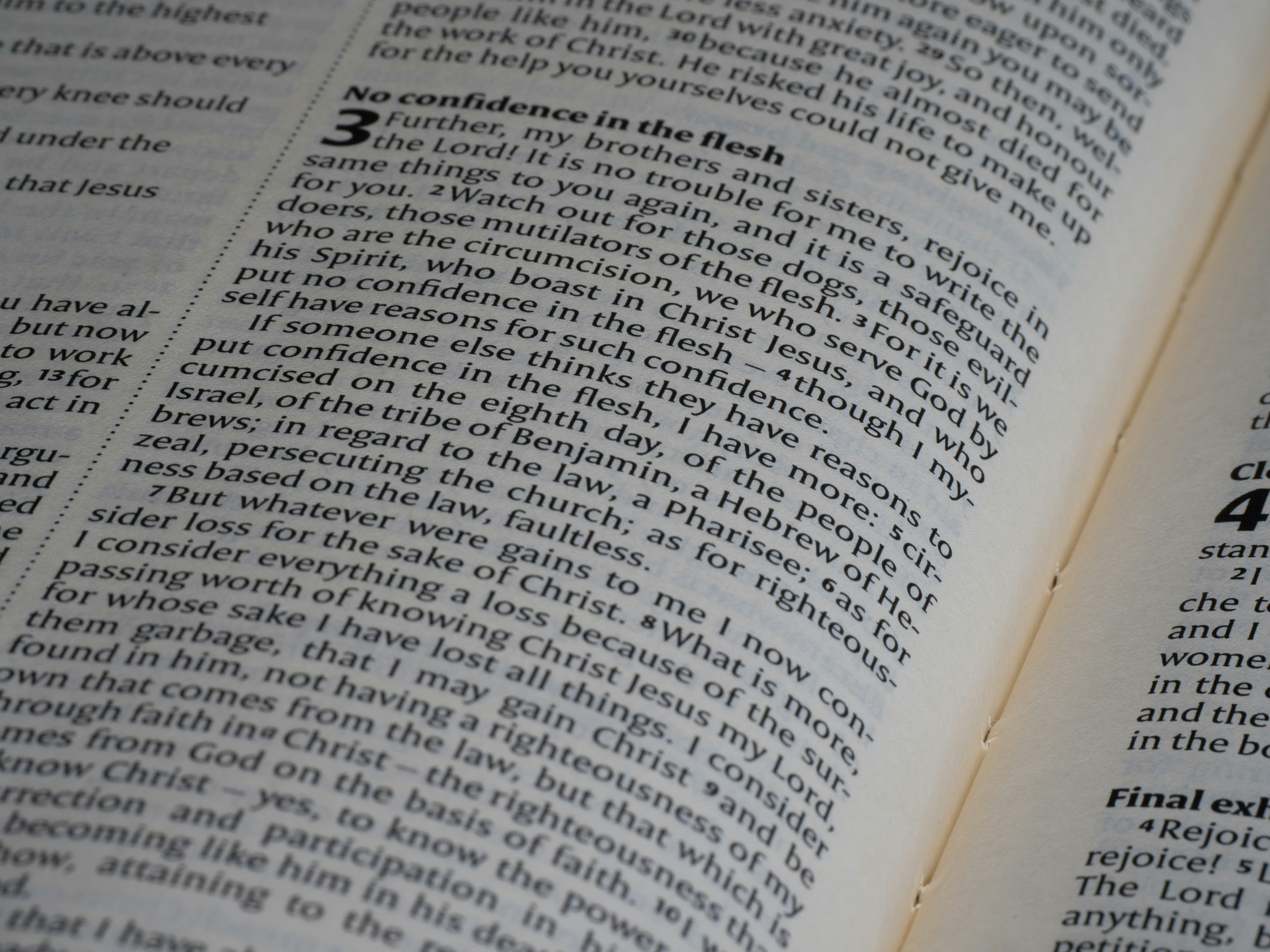 Photo by brett_jordan