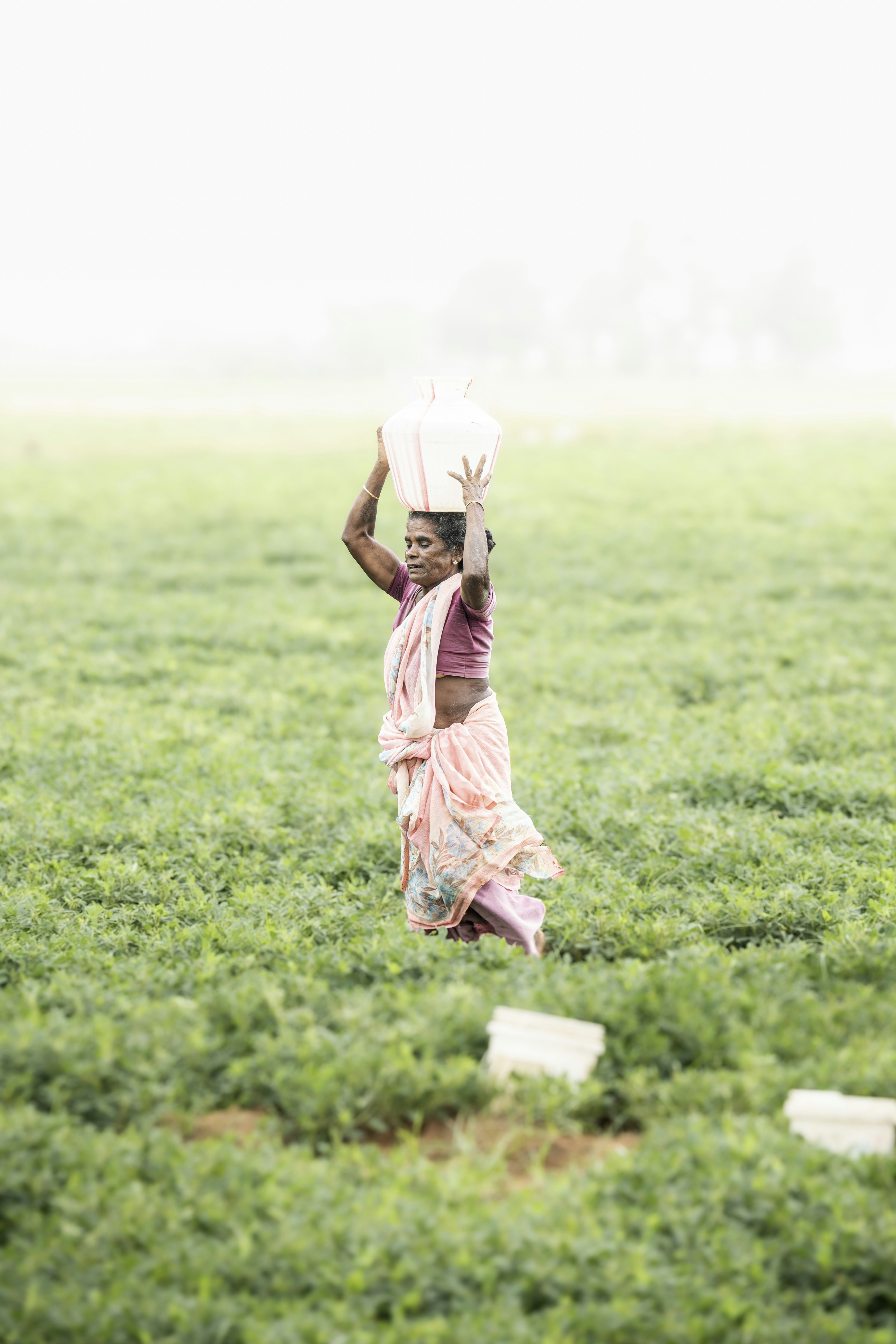 Photo by cameravumnaanum