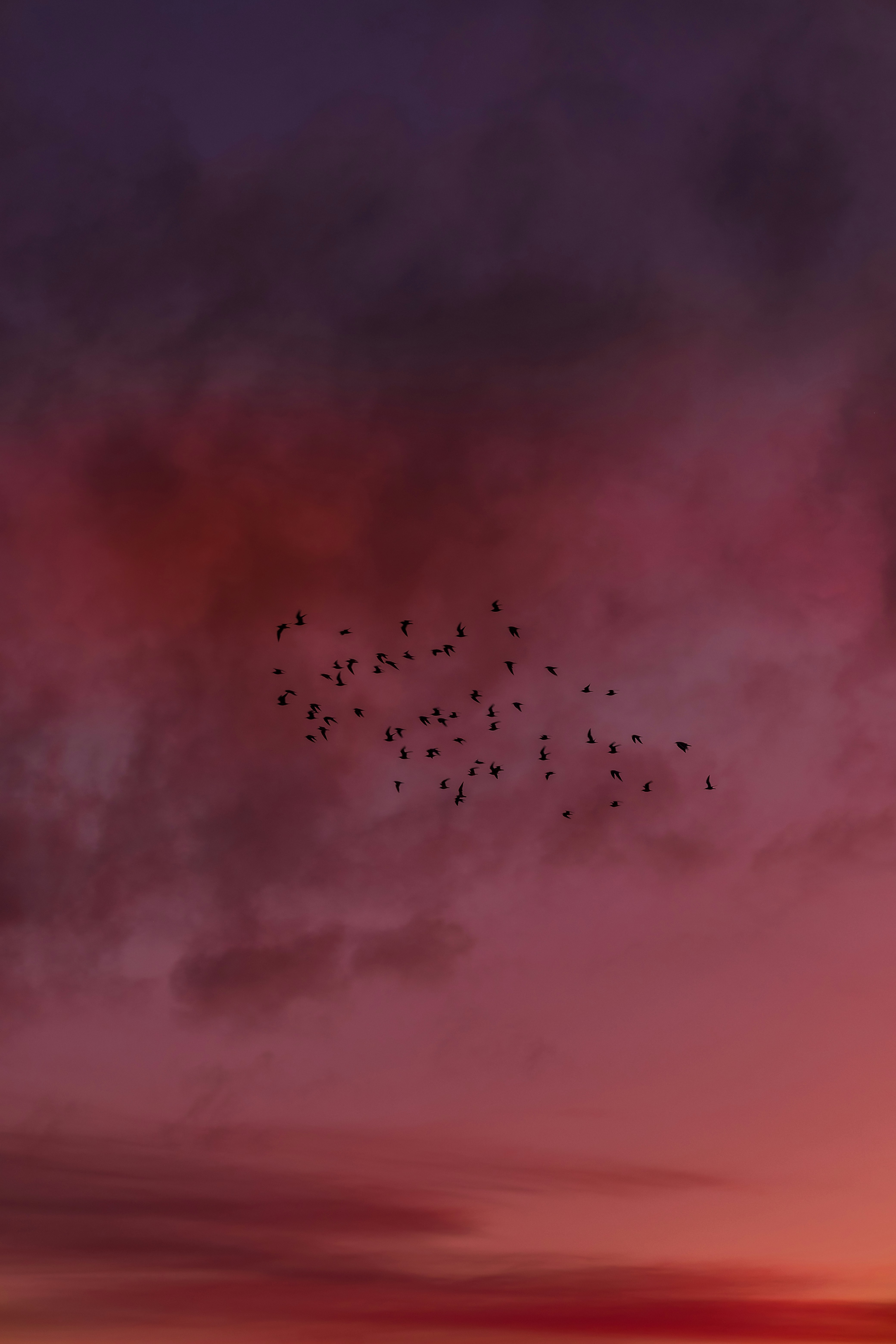 Photo by alexandriart007