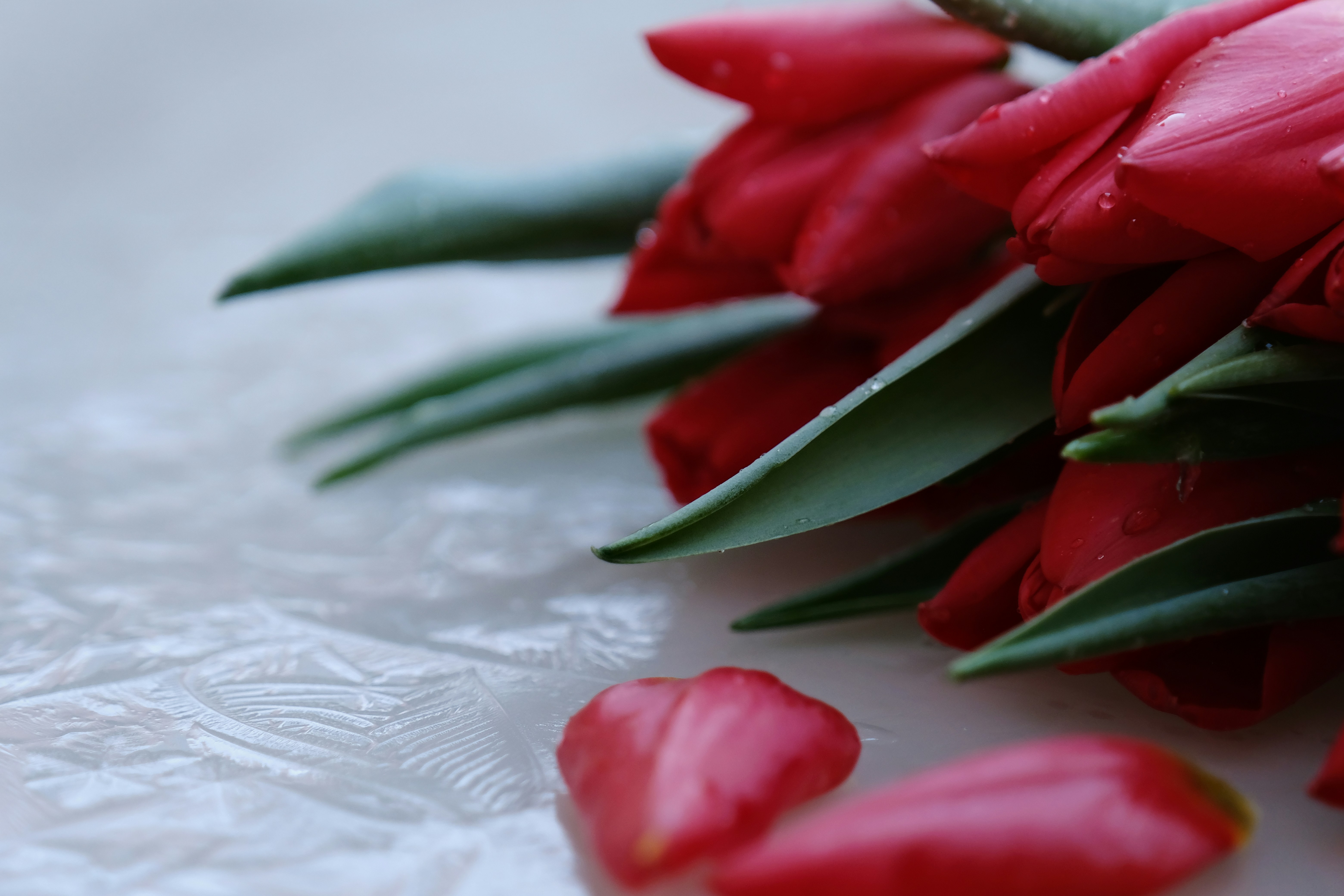 Most Romantic Anniversary Wishes to Make Them Cry Today