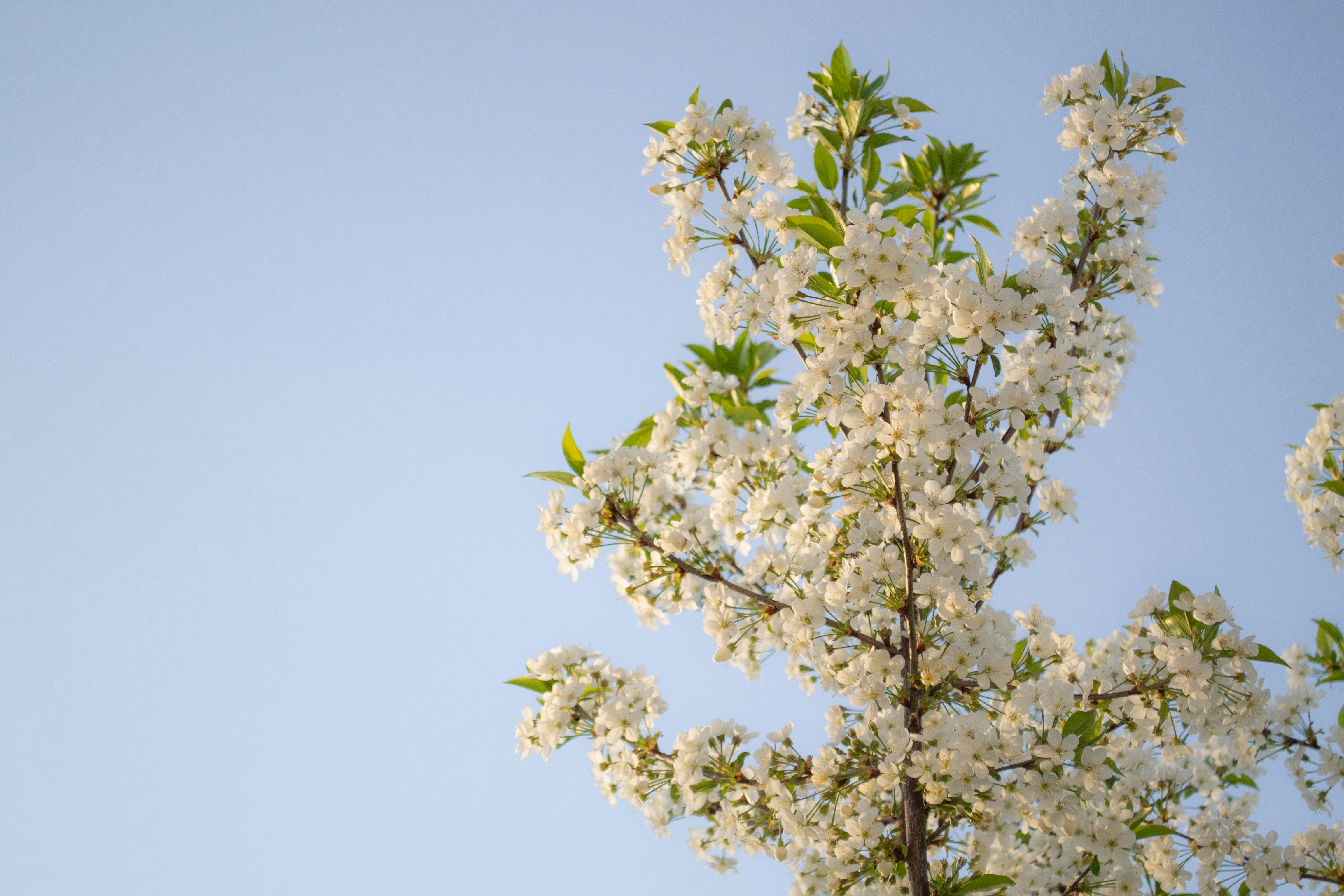 Photo by ds_graphicdesign