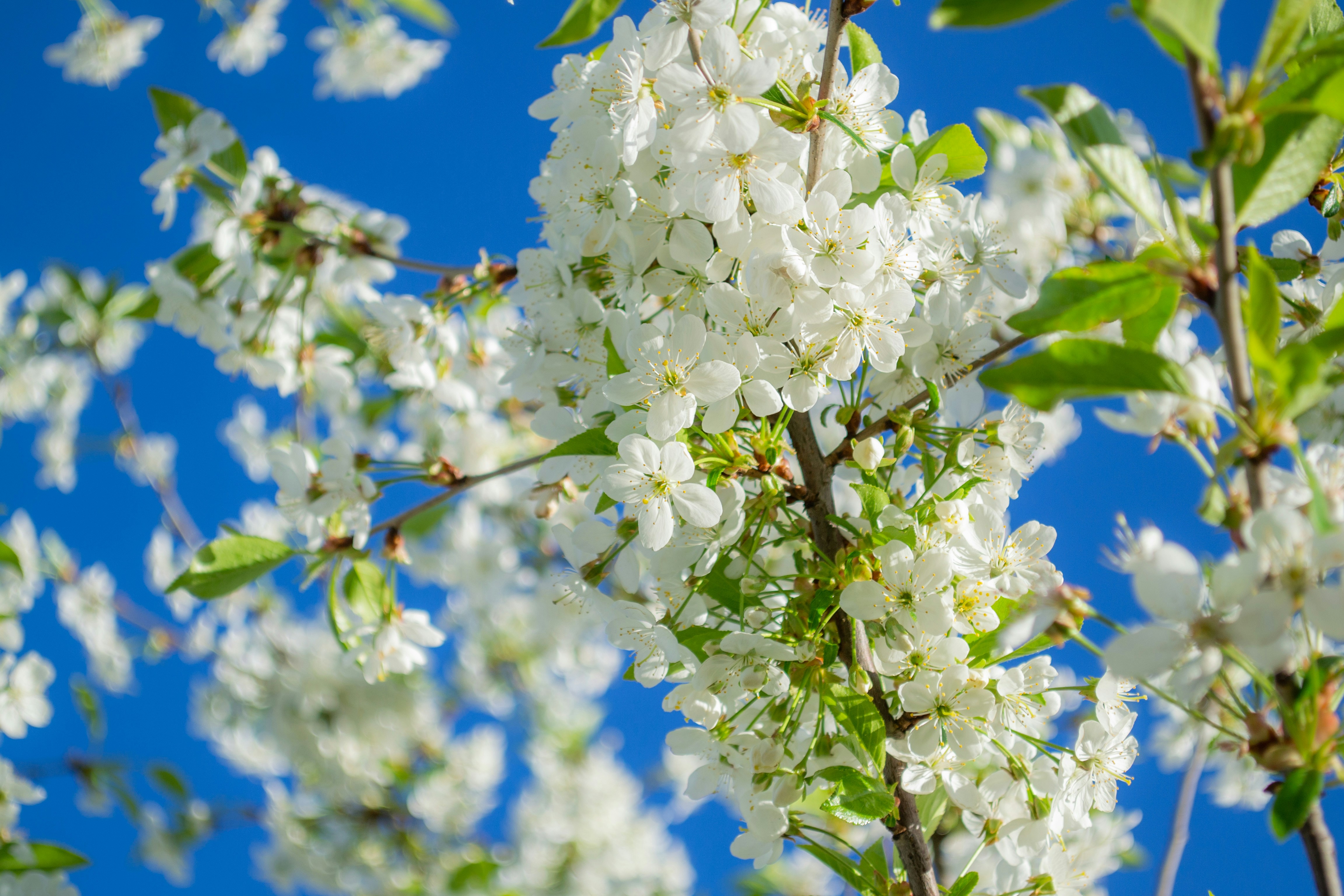 Photo by ds_graphicdesign