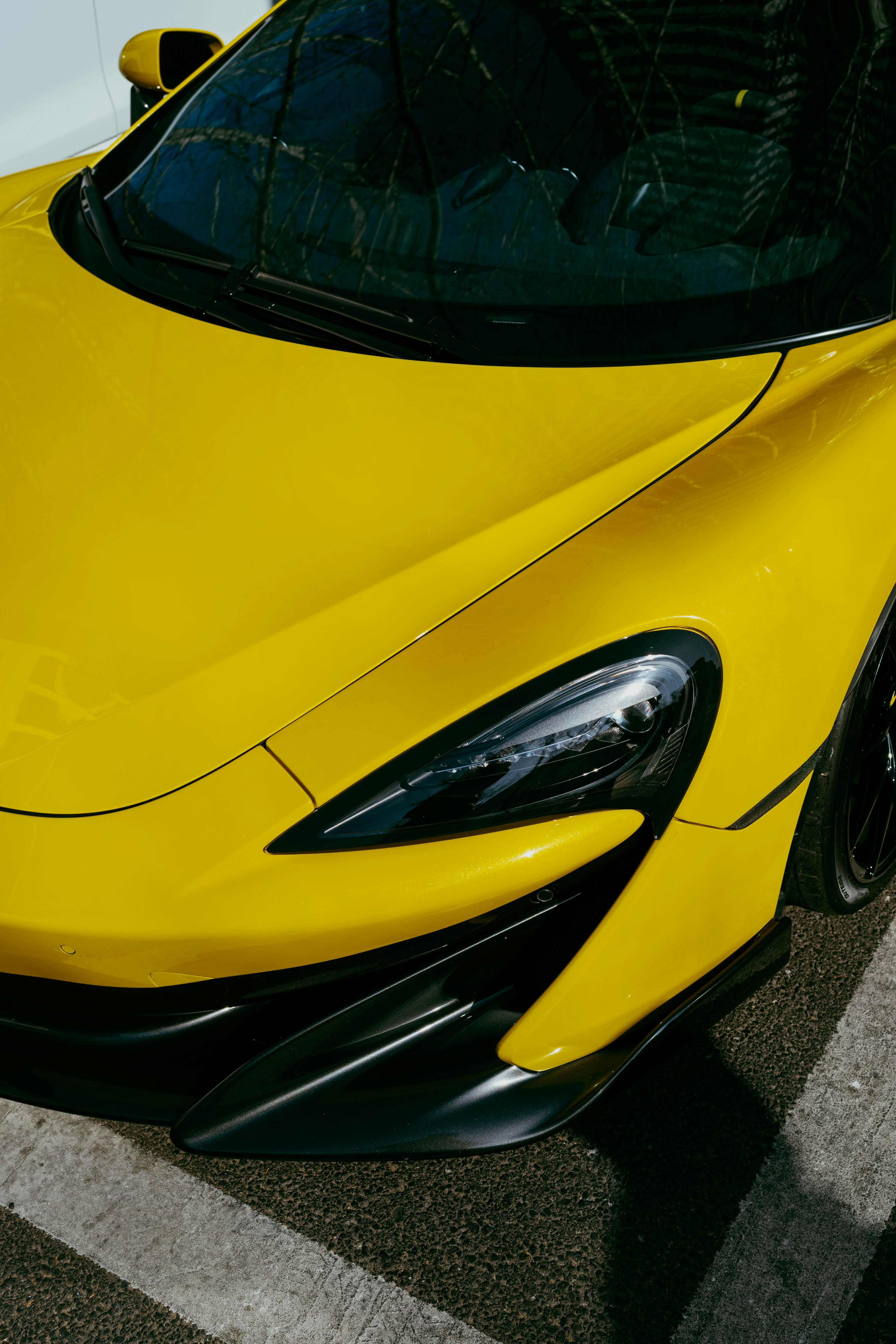 Photo by tommaomaoer