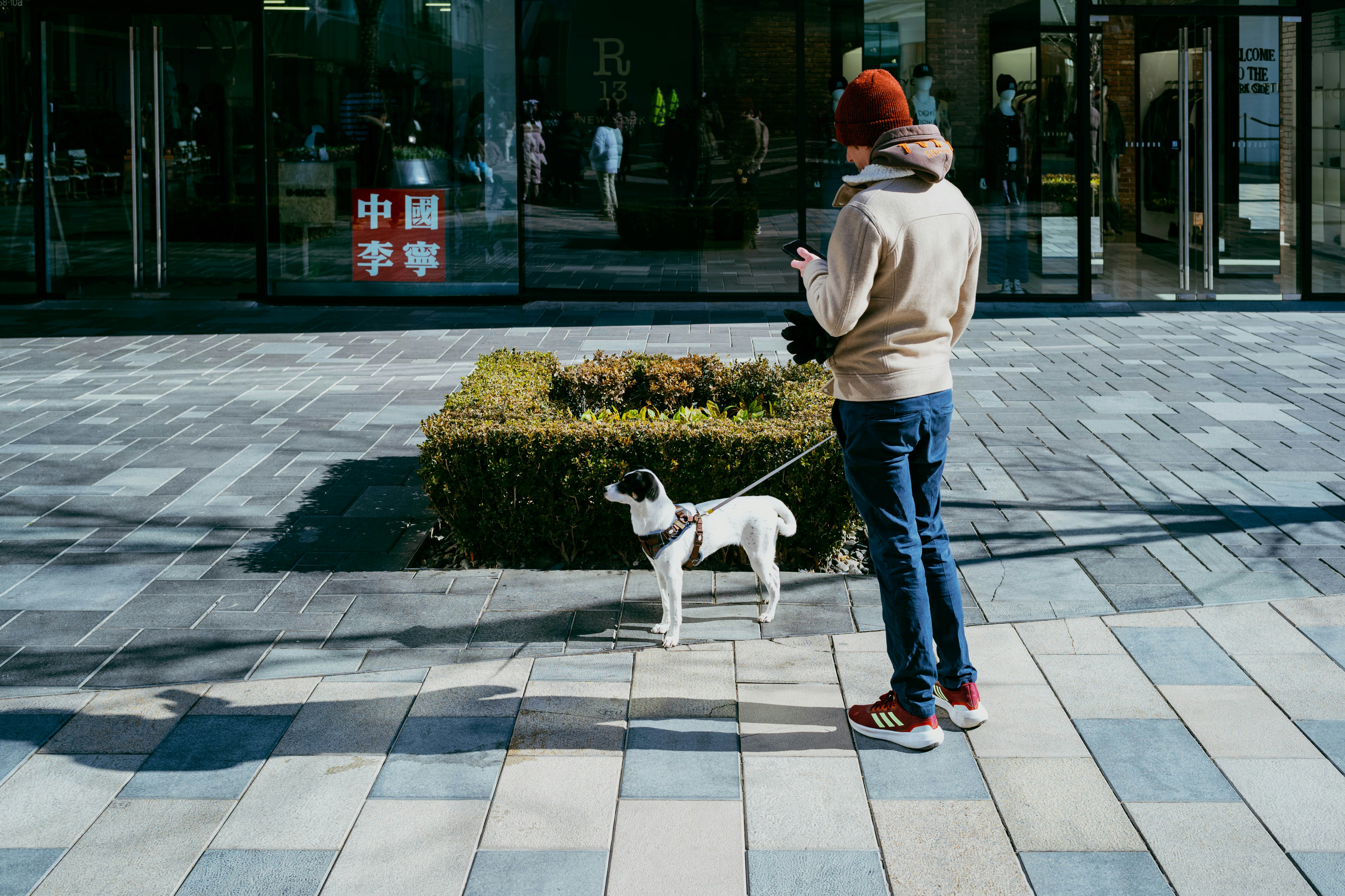 Photo by tommaomaoer