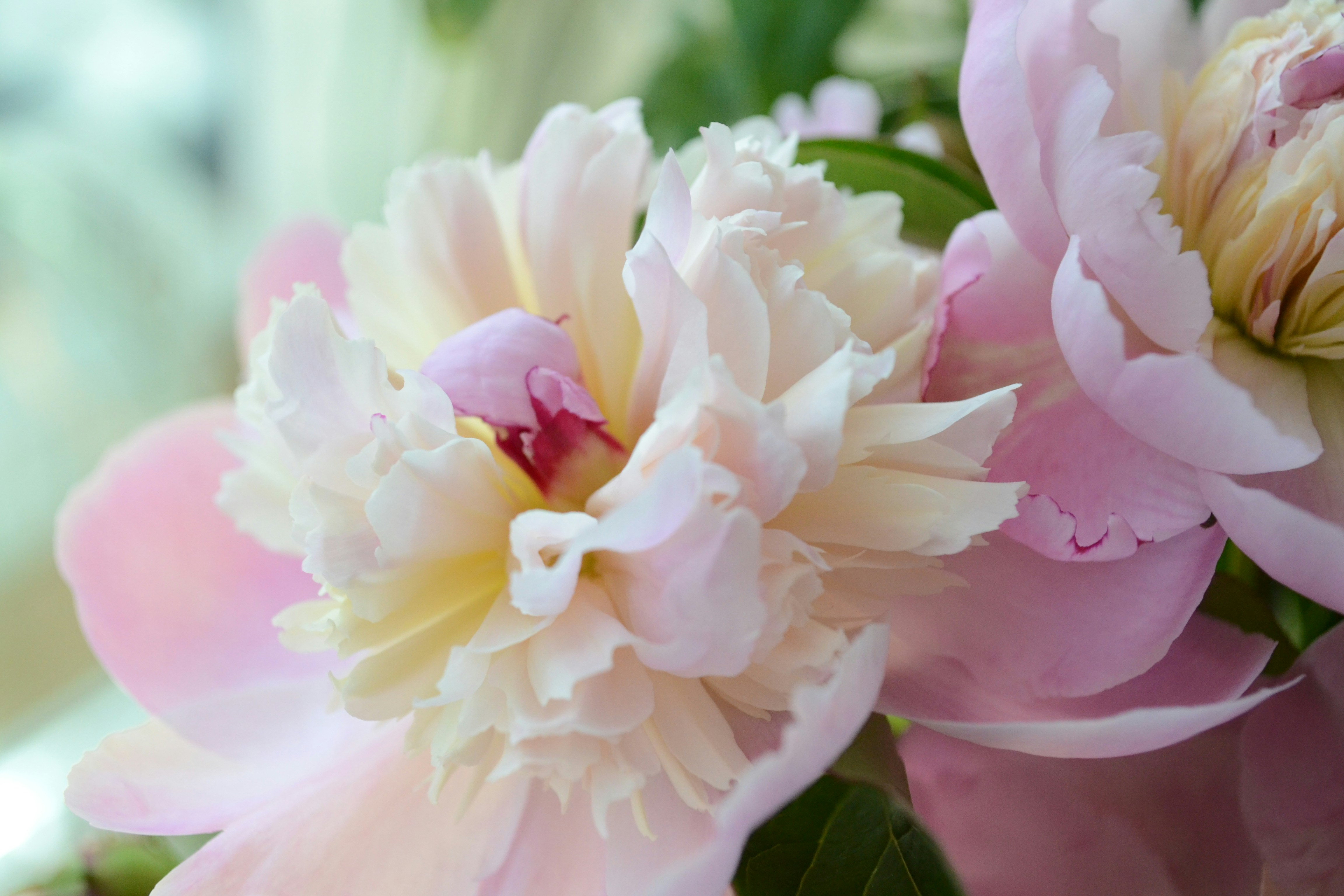 Photo by ds_graphicdesign