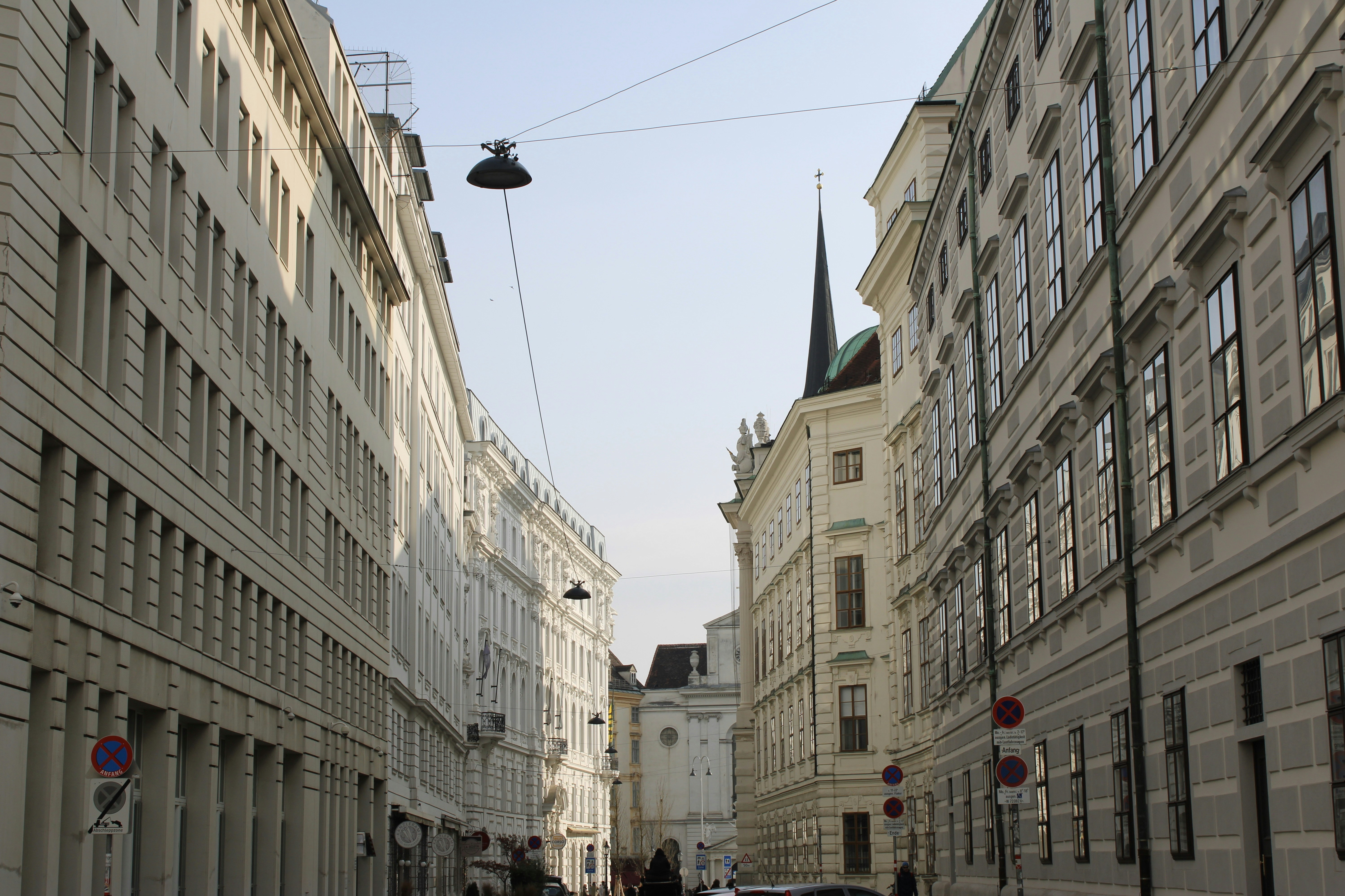 Photo by camilasabel